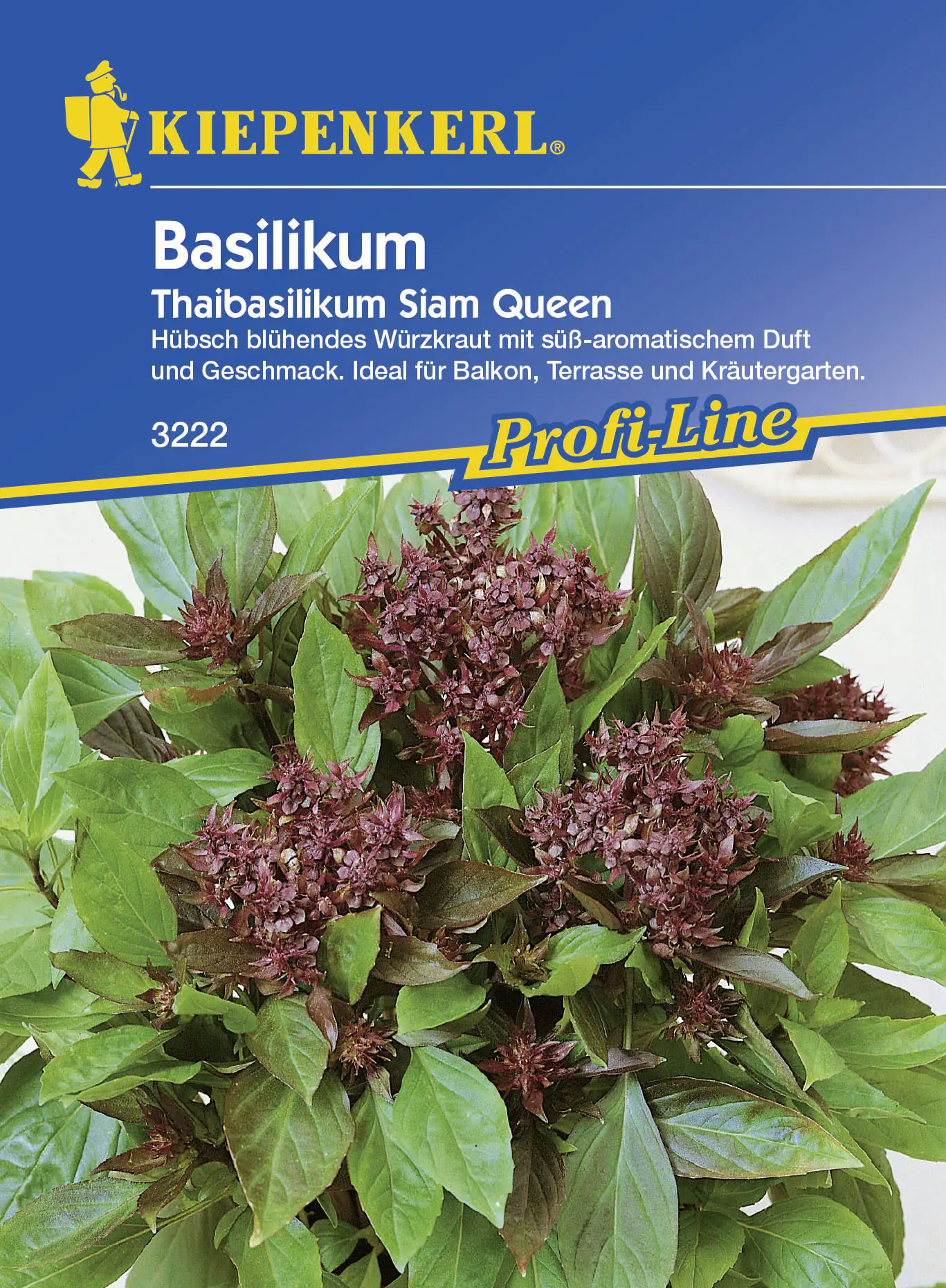 Kiepenkerl Basilikum Thaibasilikum Siam Queen Ocimum basilicum, Inhalt: ca. 150 Pflanzen Kiepenkerl Basilikum Thaibasilikum Siam Queen Ocimum basilicum, Inhalt: ca. 150 Pflanzen