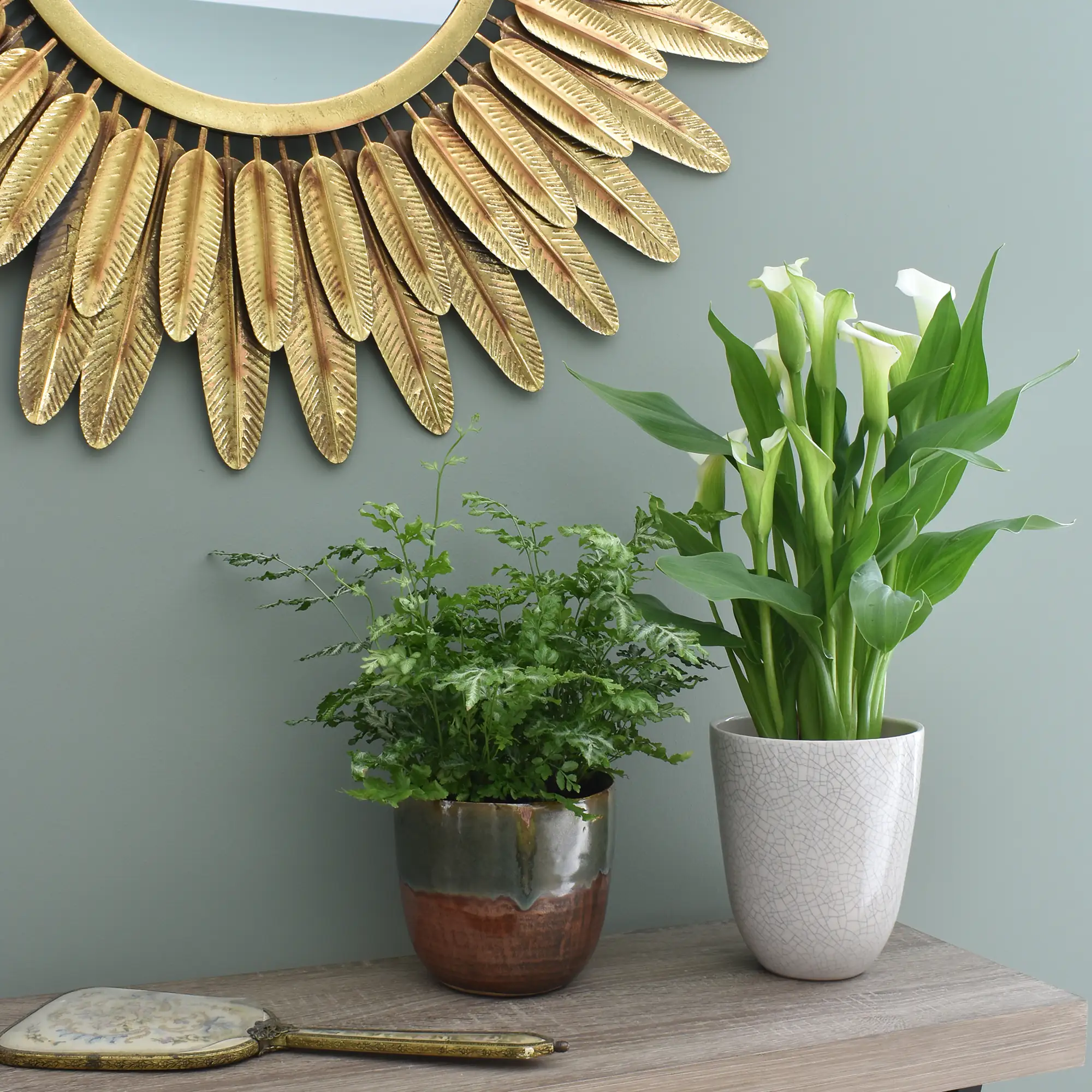 Westland Zimmerpflanzen Erde 8 l Westland Zimmerpflanzen Erde 8 l