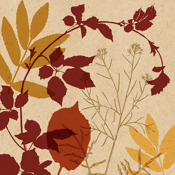 Braun & Company Servietten natur braun 33 x 33 cm - 20er Pack