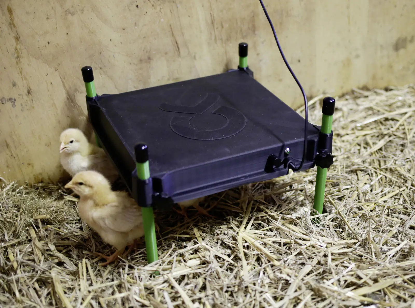 Kerbl Wärmeplatte CosyHeat 30x30 cm 24 V schwarz grün