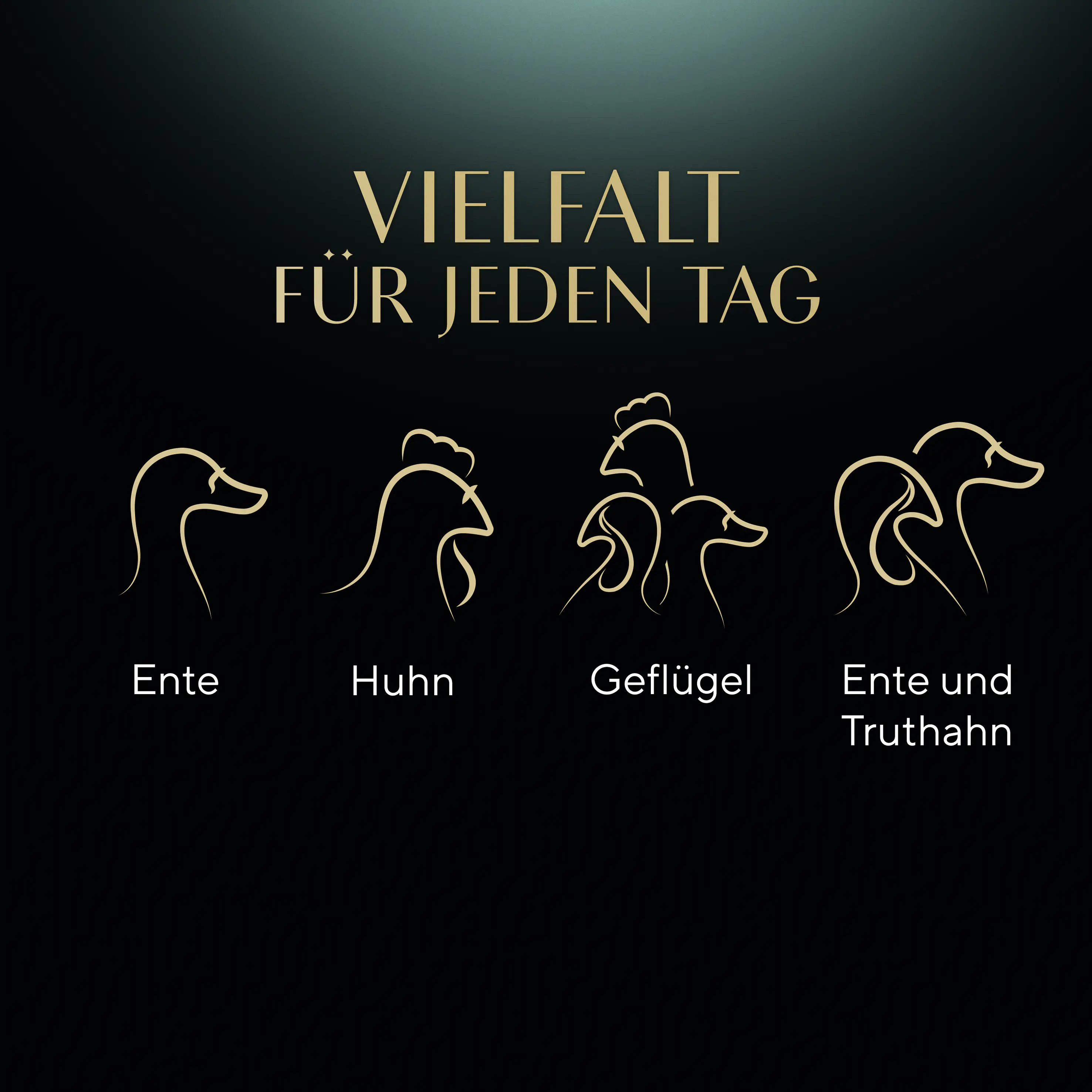 Sheba Selection in Sauce Katzennassfutter Adult 12 x 85 g Geflügel Variation