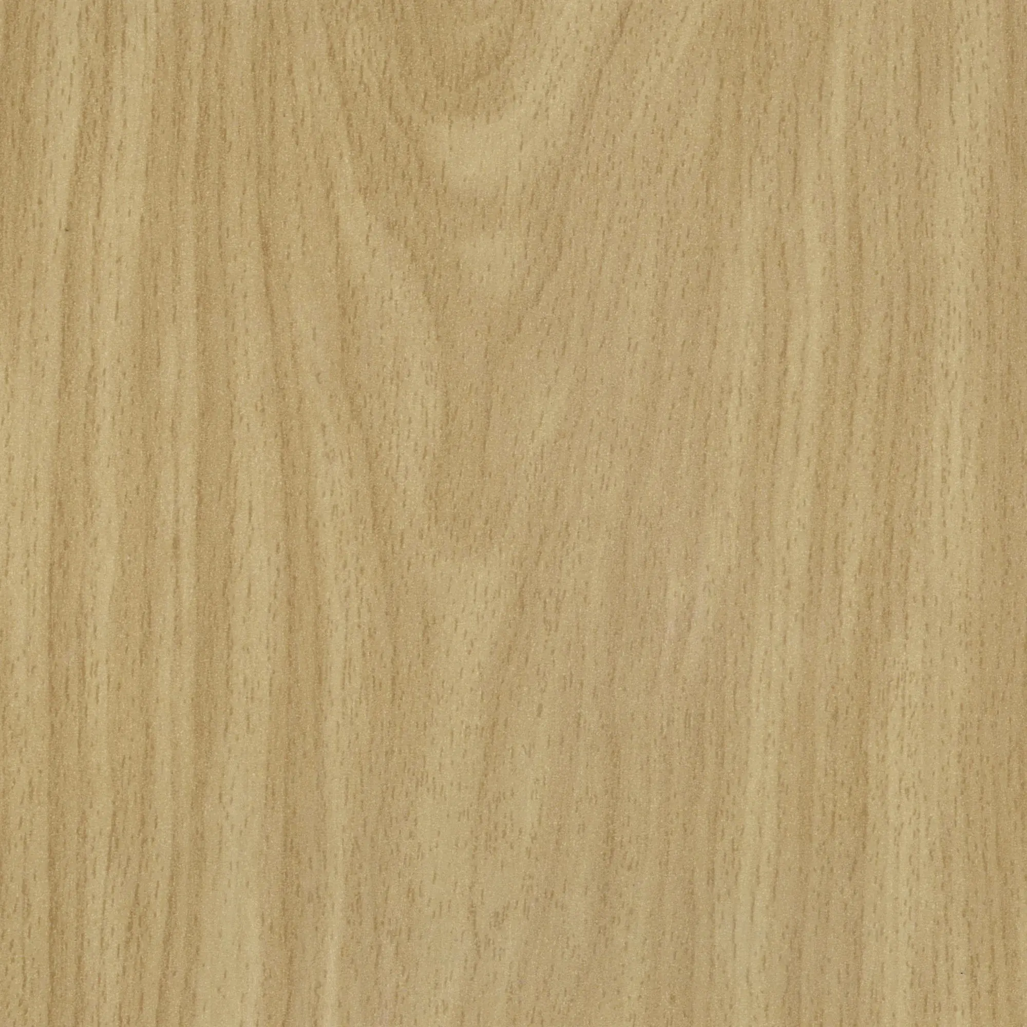 Neuhofer Fußleiste 240 cm 58 x 19 mm Buche Royal SB