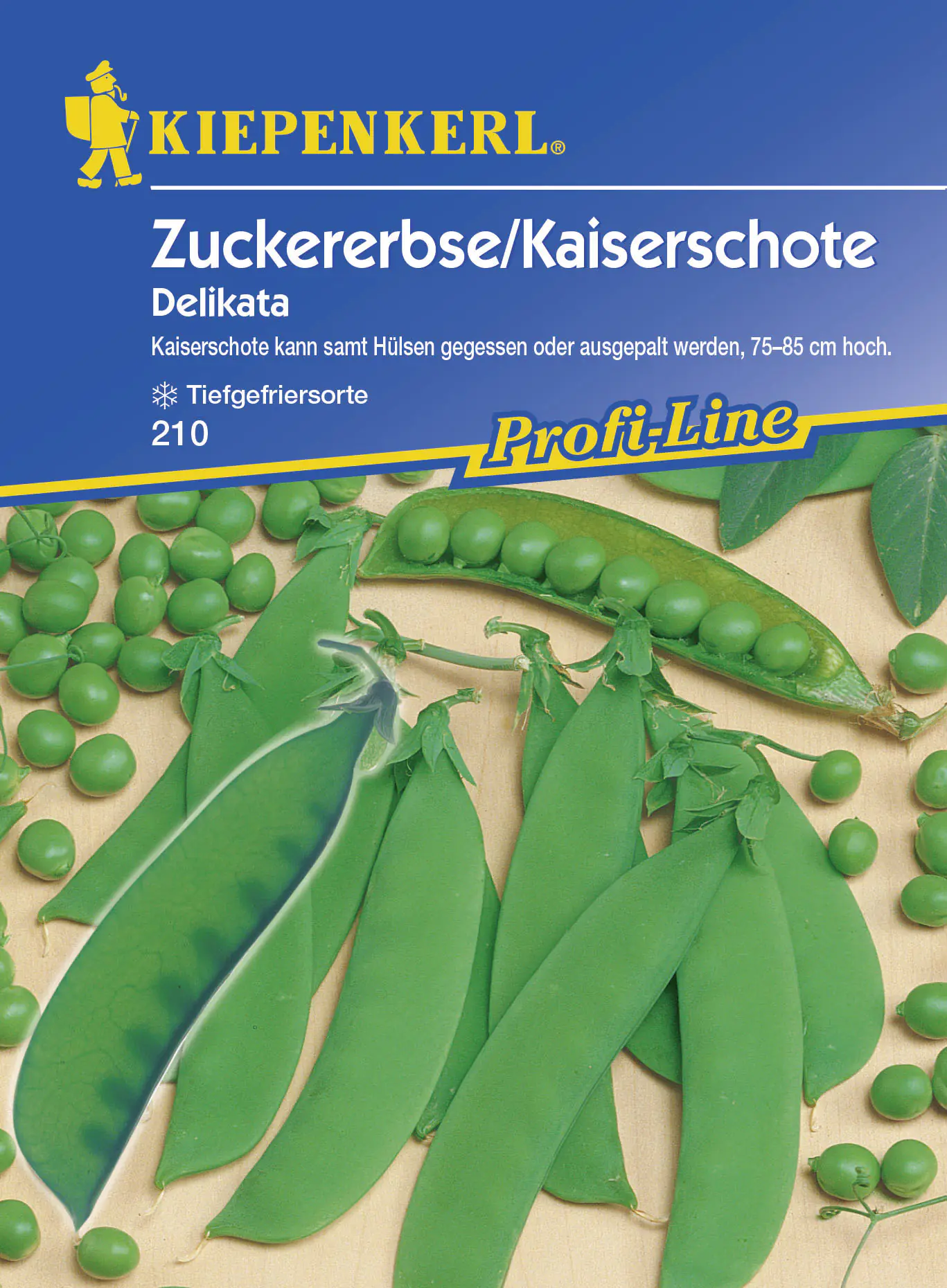 Kiepenkerl Zuckererbse Delikata Pisum sativum, Inhalt: 5-8 lfd. Meter
