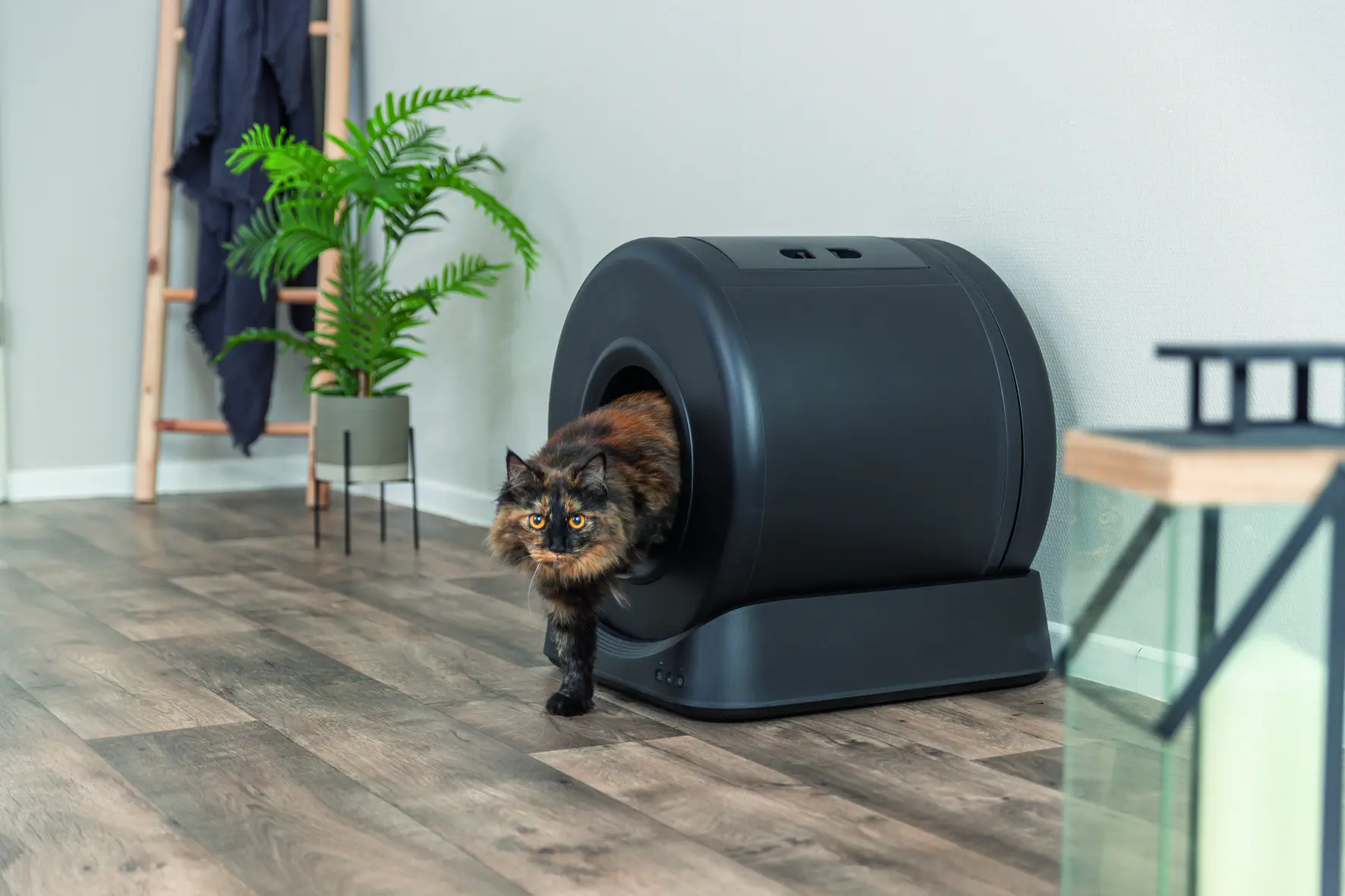 Trixie Selbstreinigende Katzentoilette 51 x 56 x 54 cm schwarz