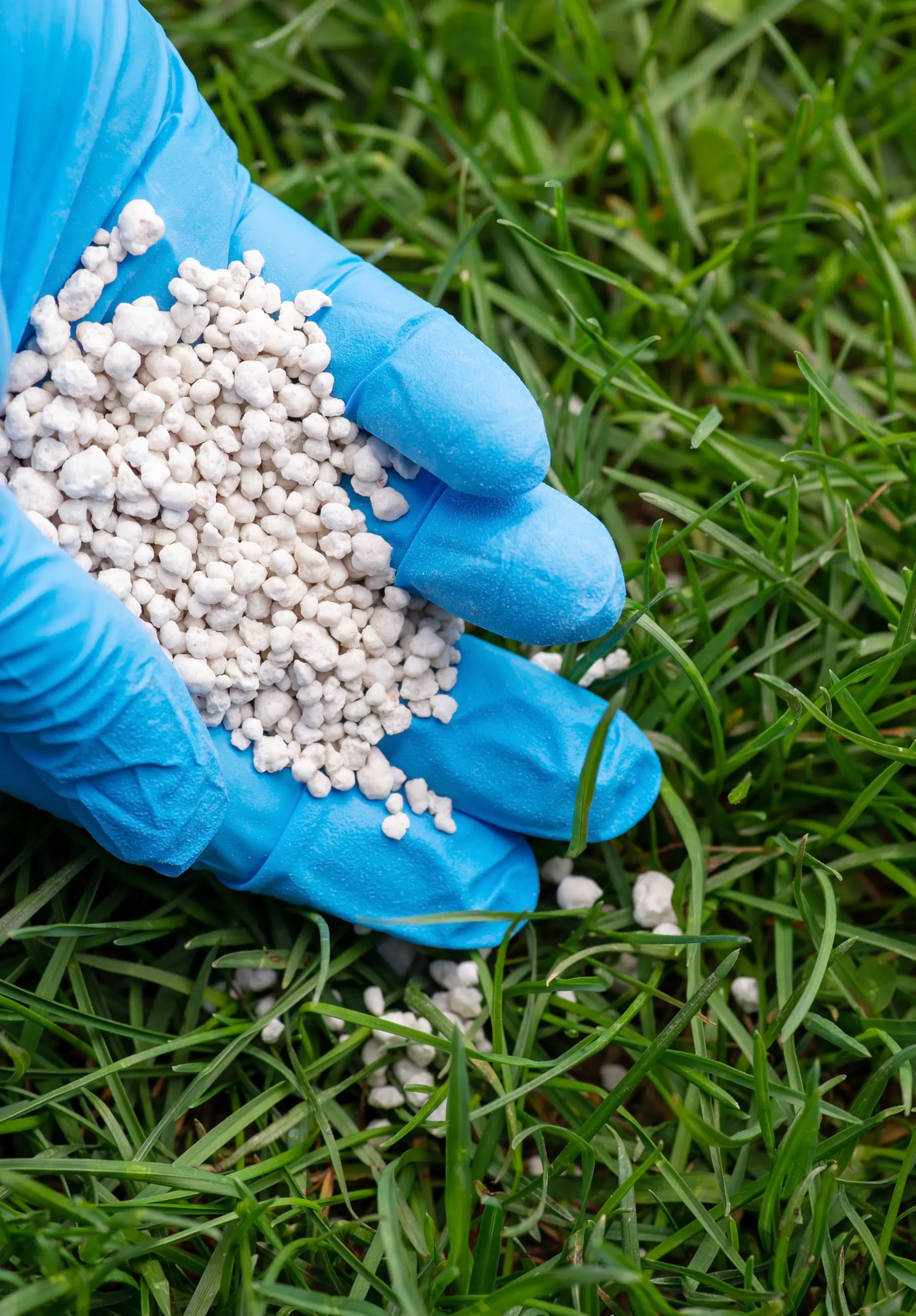 Rasetta Rasendünger 5 kg 