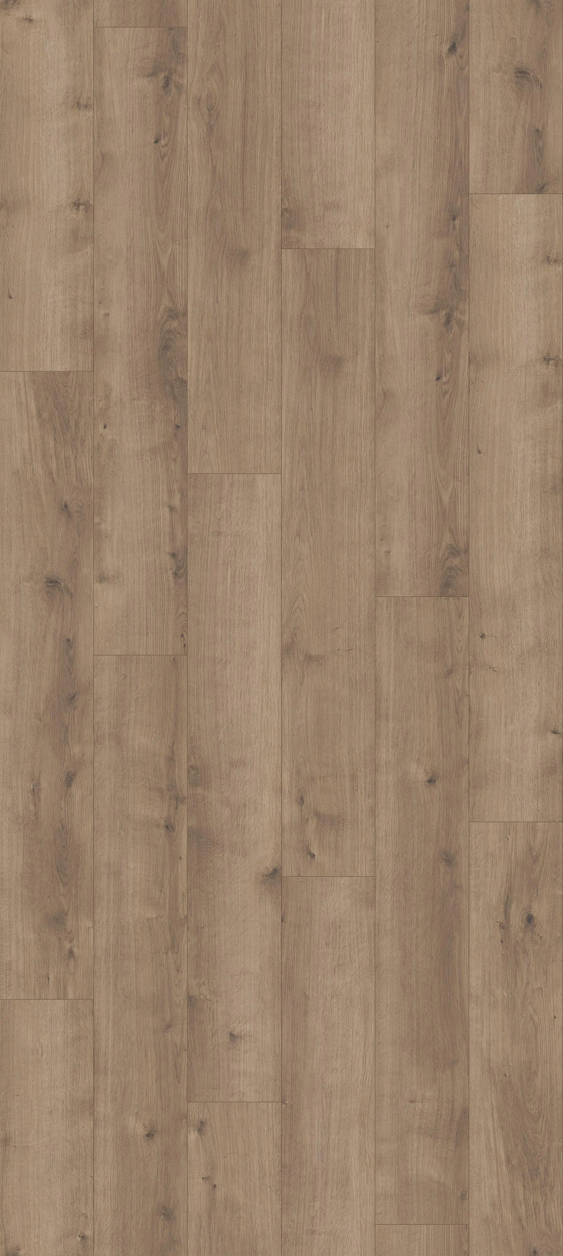Parador Vinyl-Designboden Modular ONE Eiche Pure perlgrau Landhaus Parador Vinyl-Designboden Modular ONE Eiche Pure perlgrau Landhaus