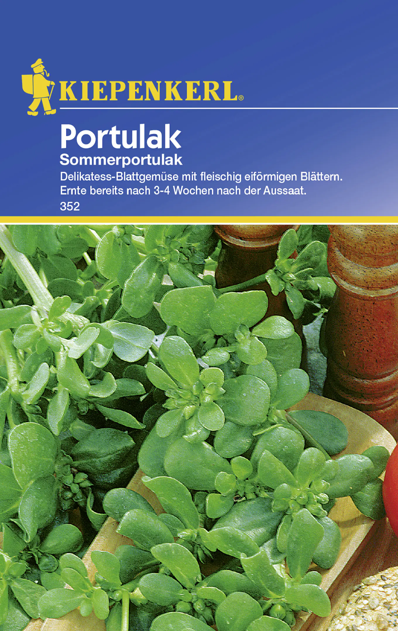 Kiepenkerl Portulak Sommerportulak Portulaca oleracea ssp. sativa, Inhalt: ca. 150 Pflanzen