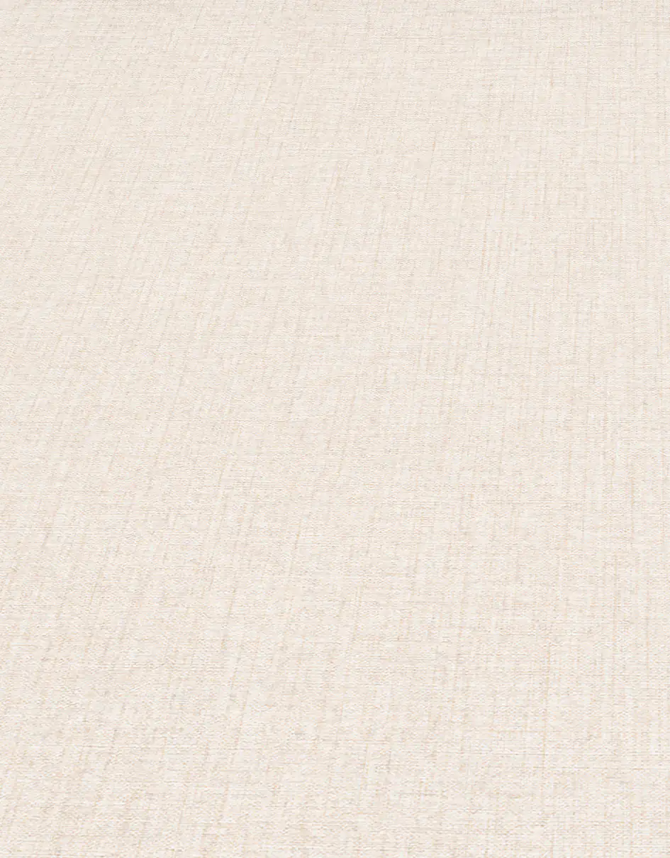 4002790211570_4 Erismann Vliestapete 10215-02 Code Nature uni beige 10,05 x 0,53 m