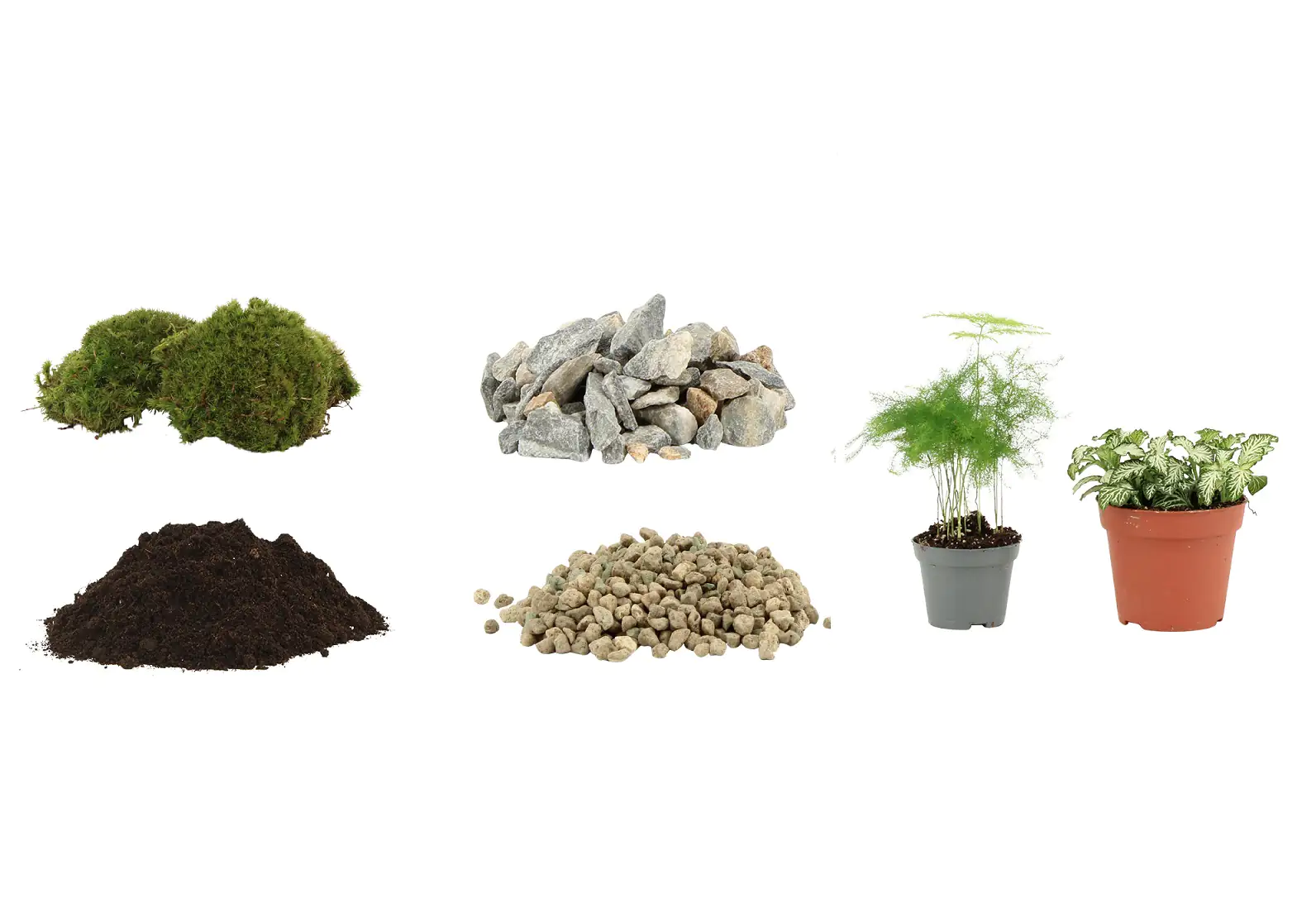 Flaschengarten DIY-Set Rund Medium 7-teilig