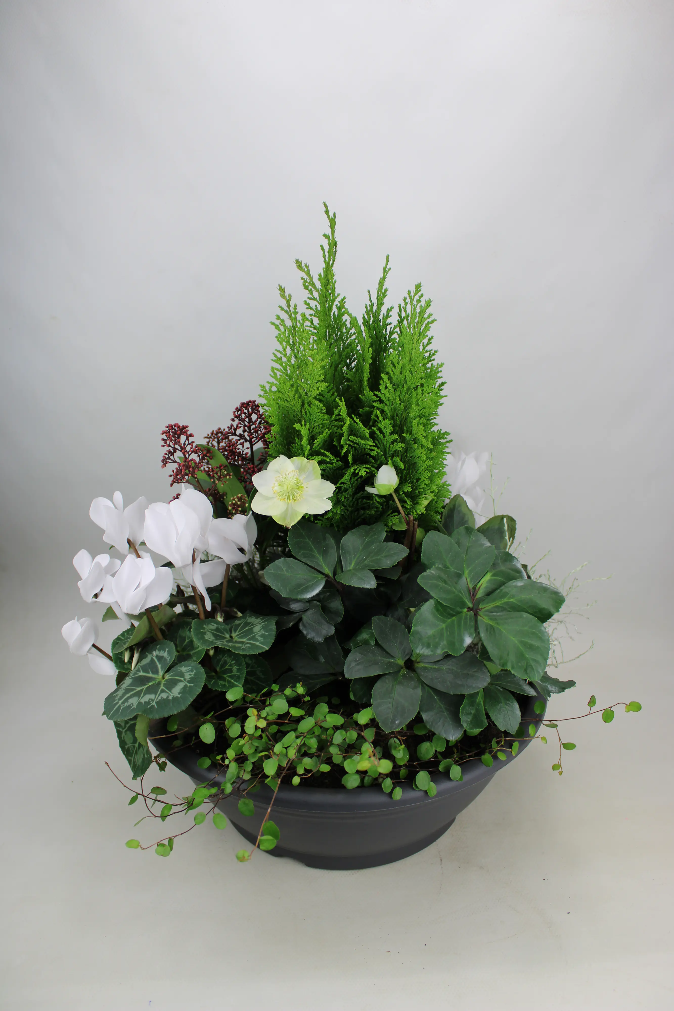 Arrangement Outdoor Nr. 4 