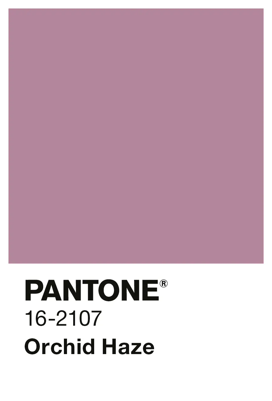 Alpina Wandfarbe Pantone matt orchid haze 2,5 L