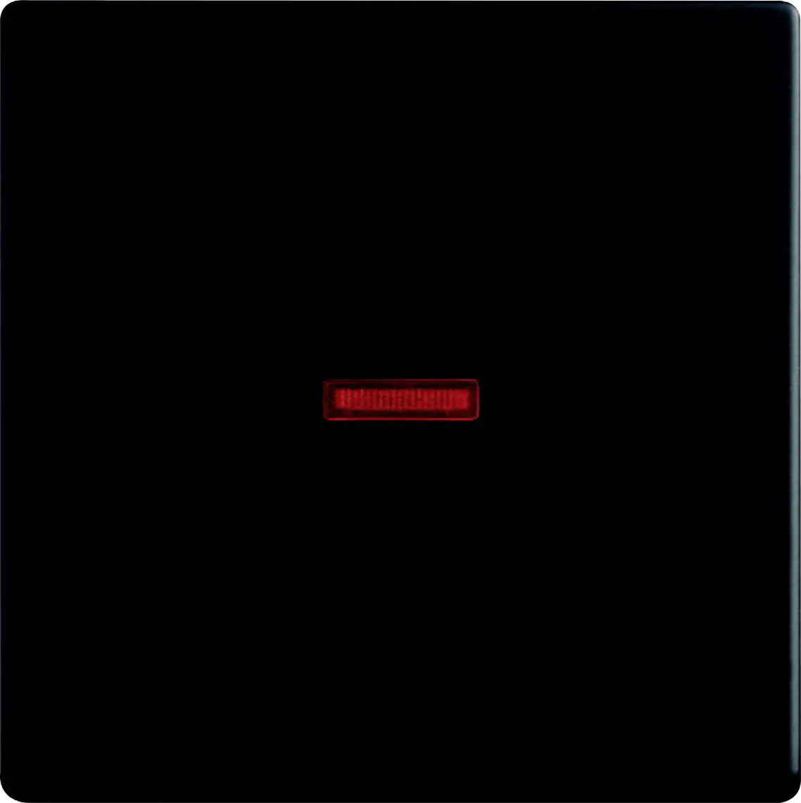 Busch Jaeger Kontrollwippe 1-fach mit Kalotte für Schalter/Taster Future Linear schwarz matt 1789-885 