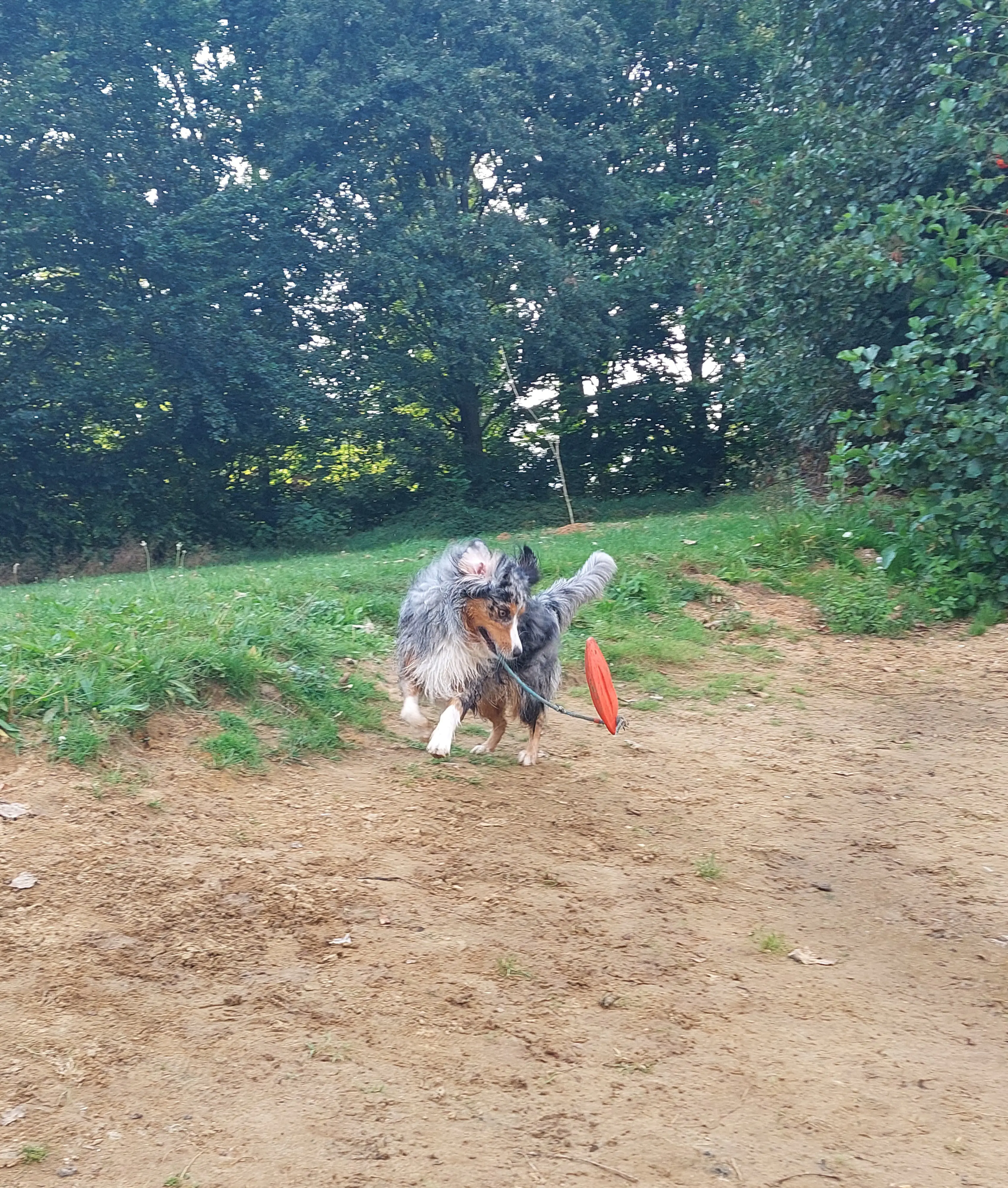 Nobby Hundespielzeug schwimmfähig TPR Lifeboard mit Seil 26 cm