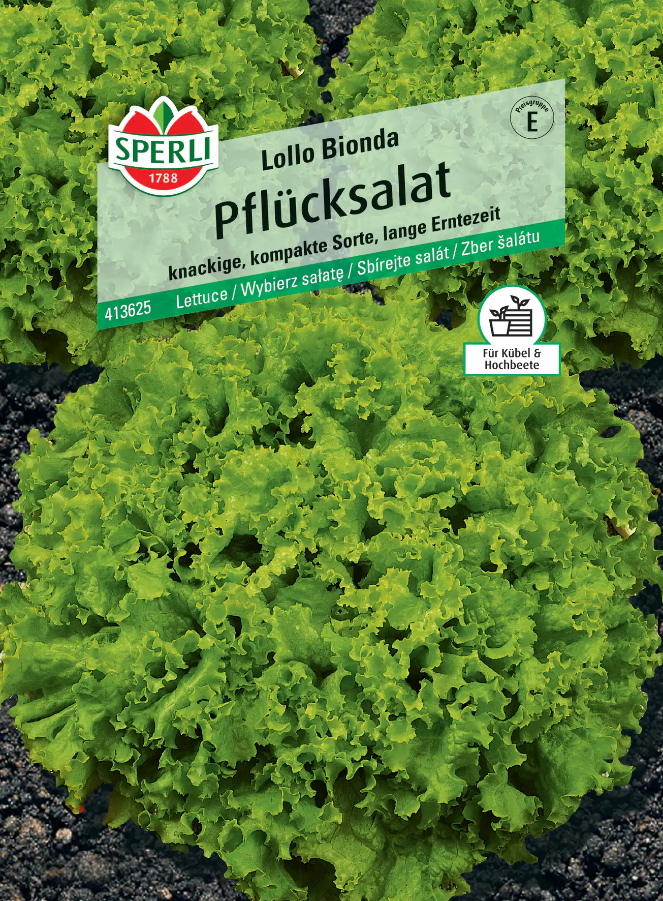 Sperli Pflücksalat Lollo Bionda Sperli Pflücksalat Lollo Bionda