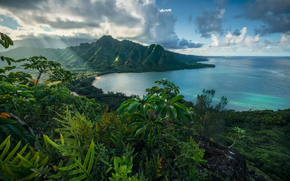 4055065112096 Komar Vlies Fototapete Jurassic Island 450 x 280 cm