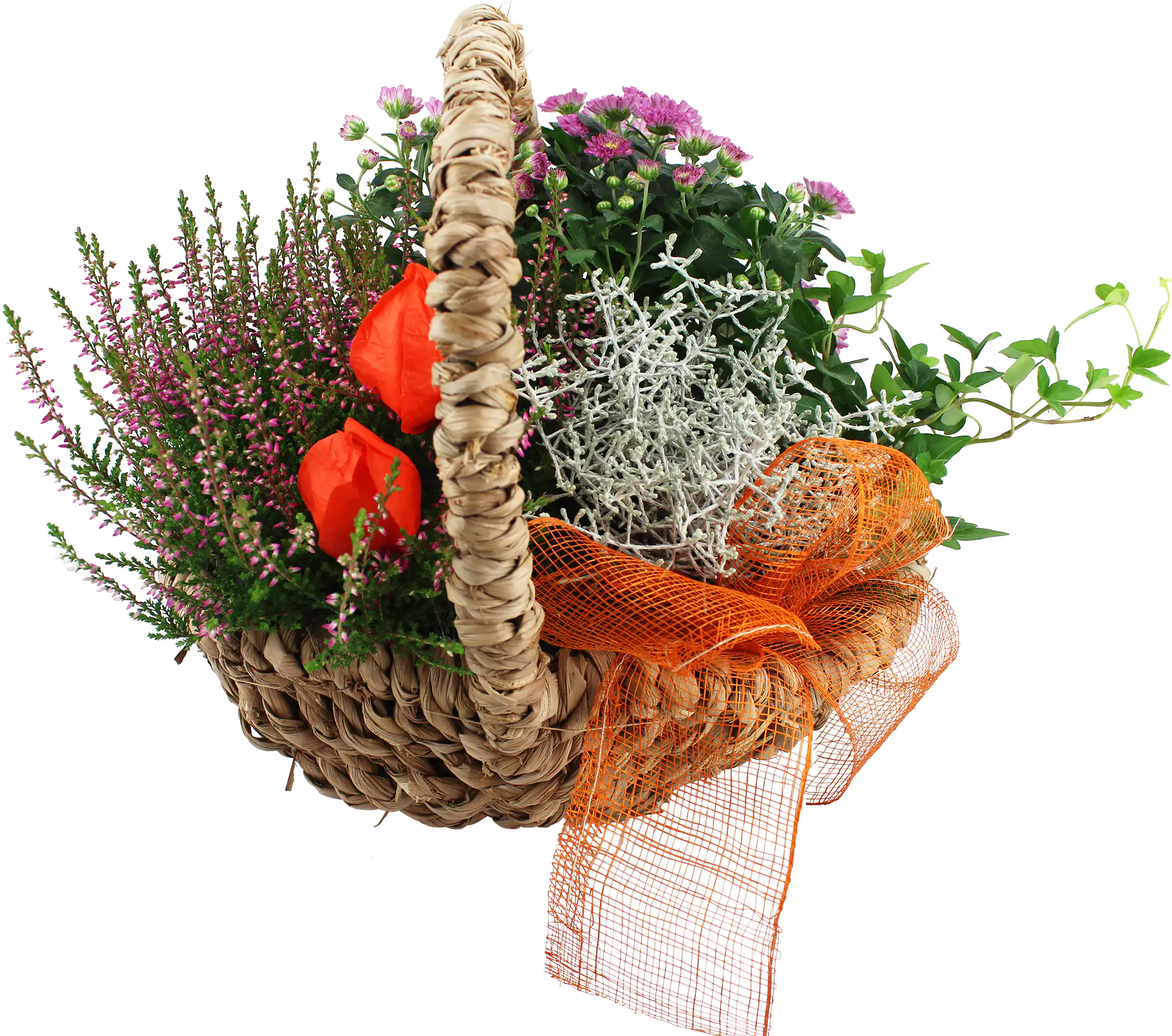 Pflanzenarrangement Henkelkorb Seegras 29 cm Korb Pflanzenarrangement Henkelkorb Seegras 29 cm Korb