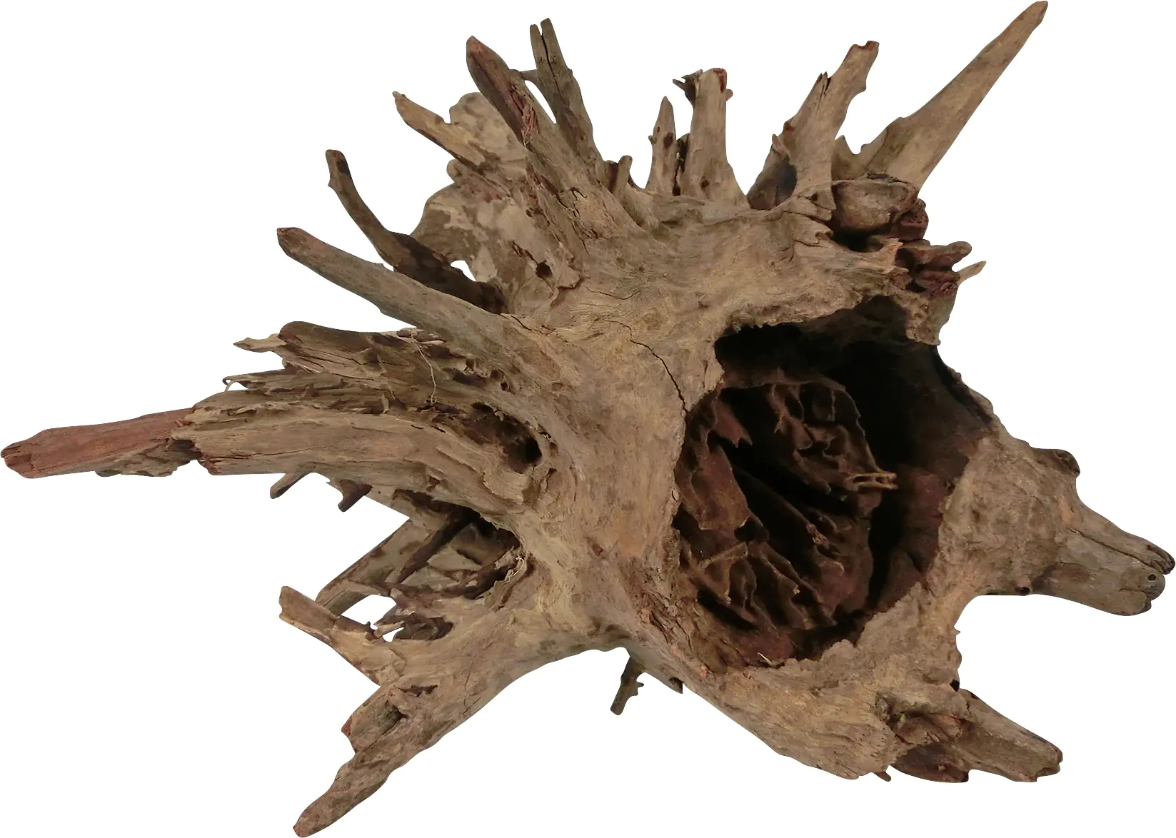 Orbit Corbo-Wurzel M 20 x 30 x 40 cm