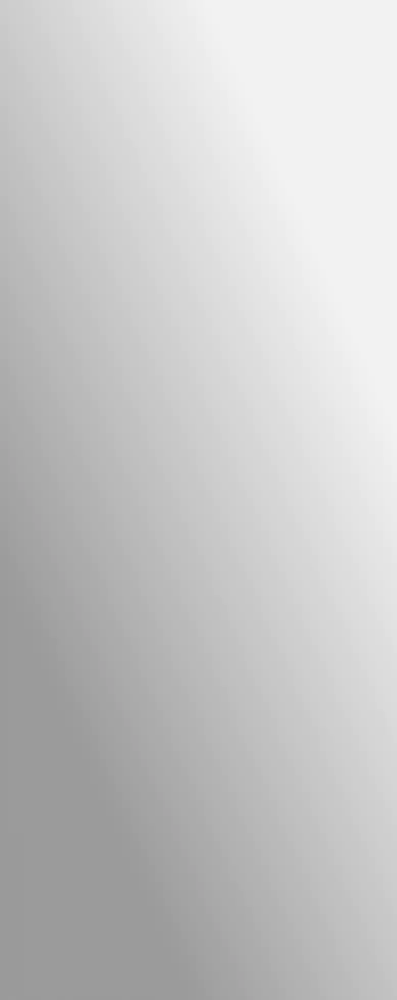 Türklebespiegel 39x98 cm