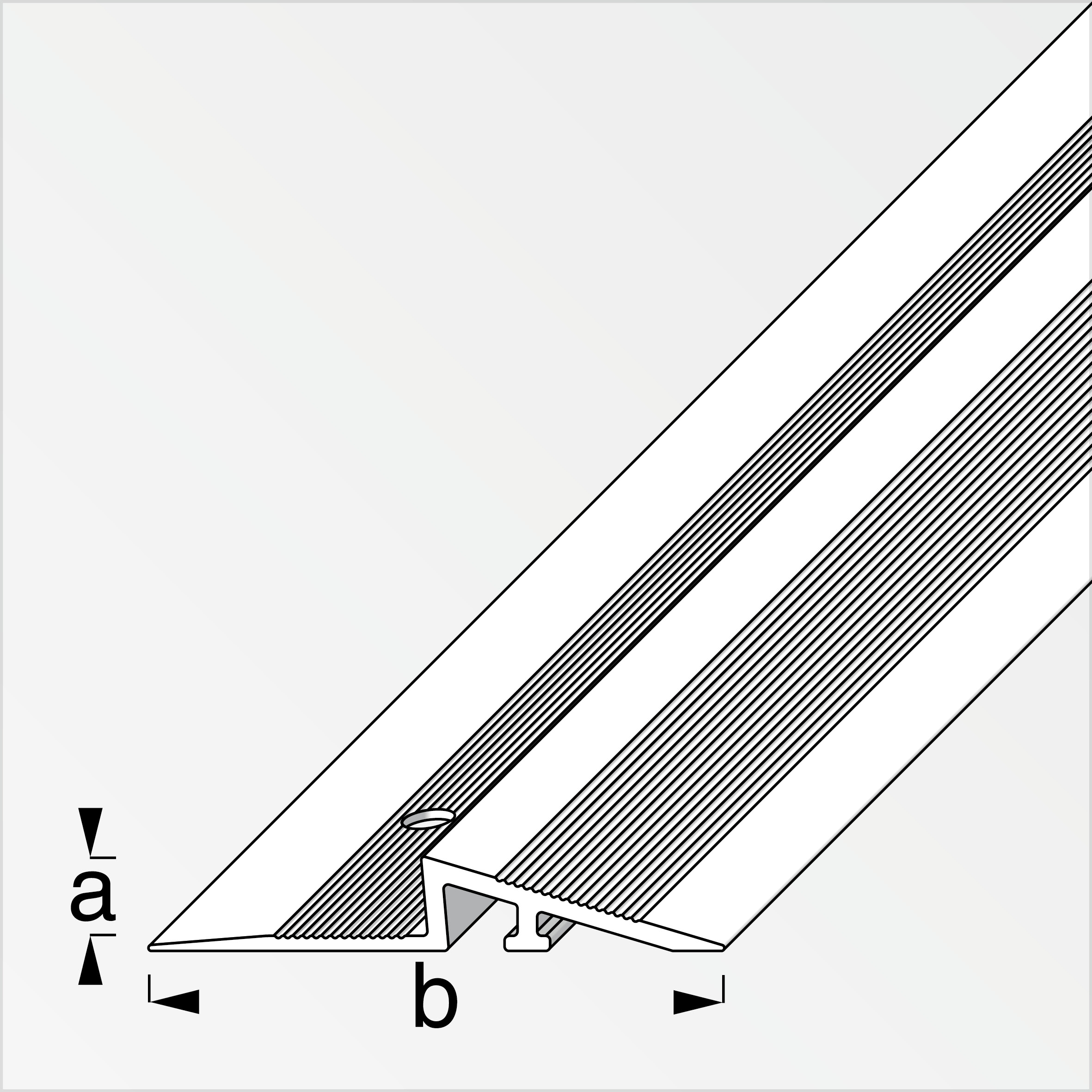 alfer Rampen-Profil 1 m, 38 x 5 mm Aluminium eloxiert dunkelgrau