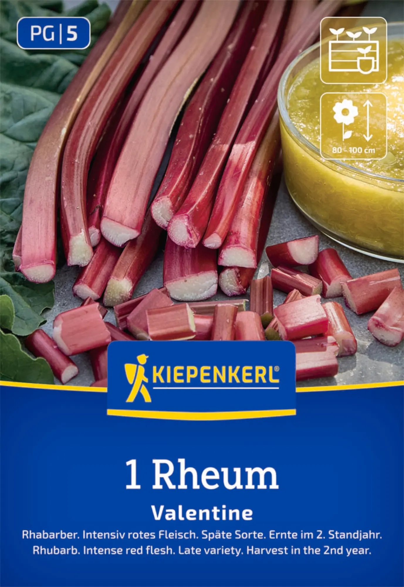 Kiepenkerl Pflanzgut Rhabarber Valentine Rheum rhabarbarum 1 Stück