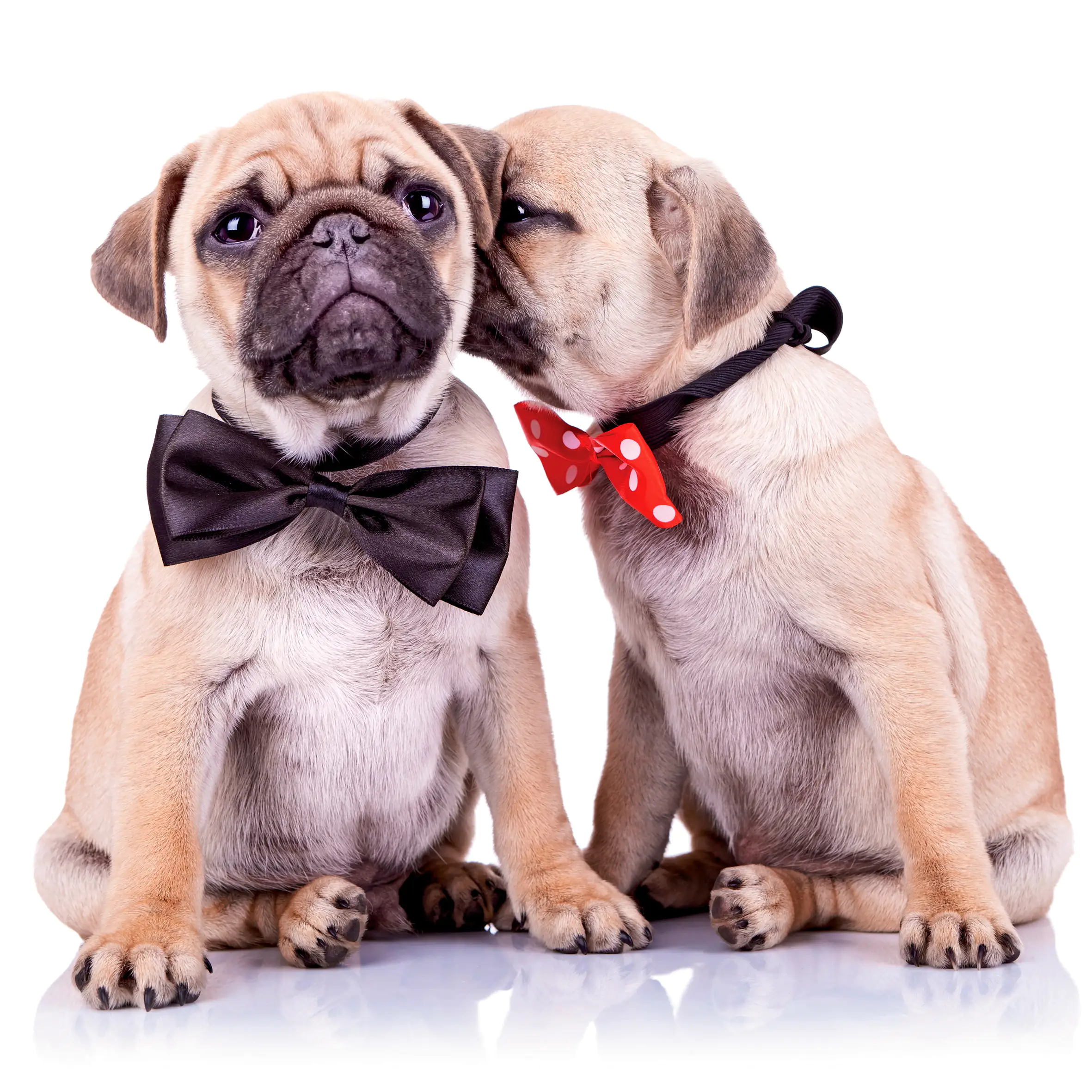 4251050576762 Deco-Block Bild - Couple 39 x 39 cm