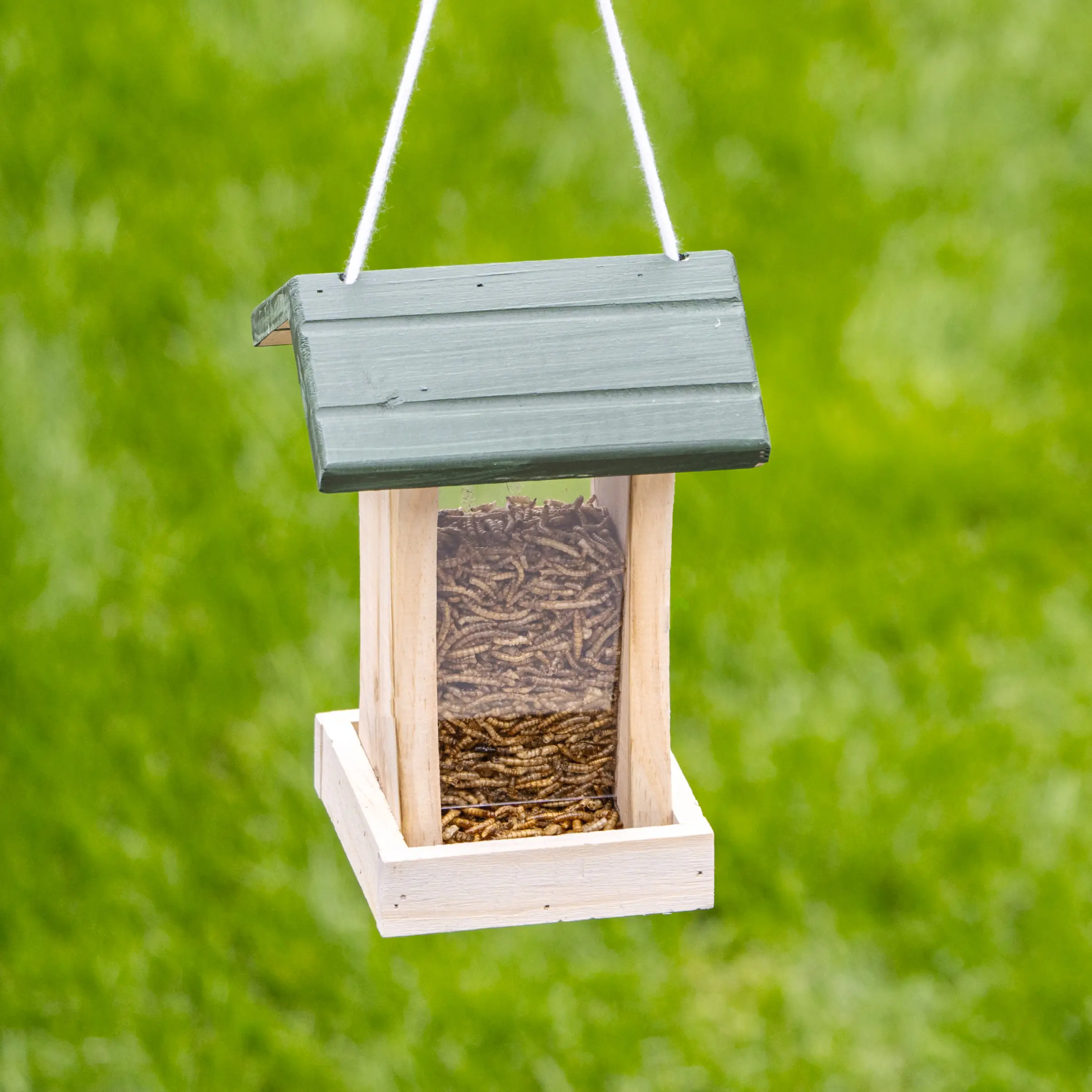 CJ Wildlife Futterhaus St. Louis natur/grün LxBxH: 16x16x23 cm