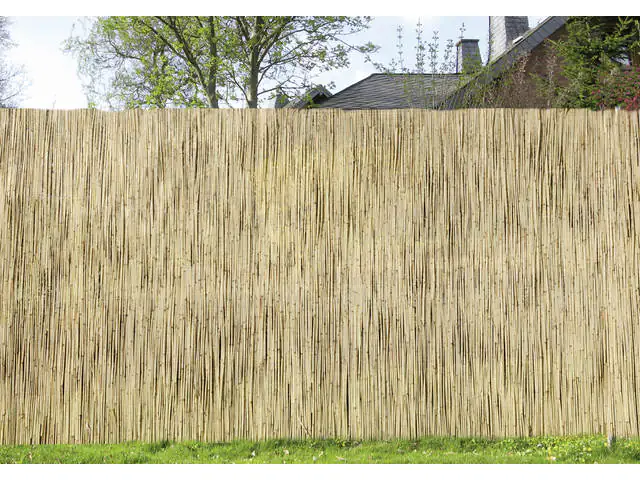 4021831008061 Schilfrohrmatte 1,6 x 6 m