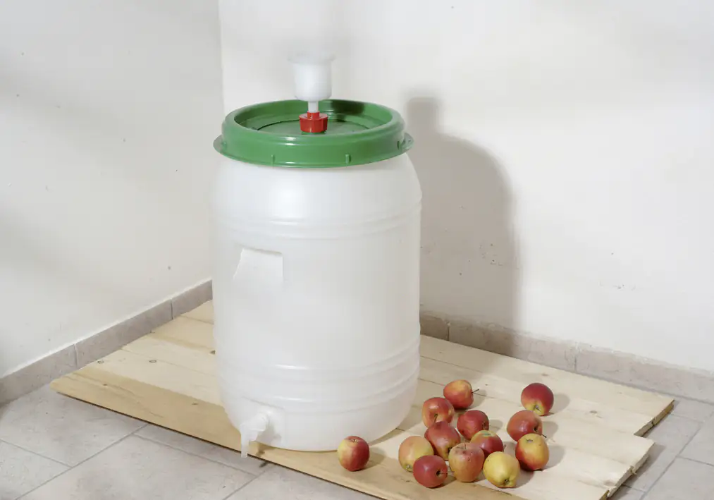 Floraworld Getränkefass Kunststoff 60 l