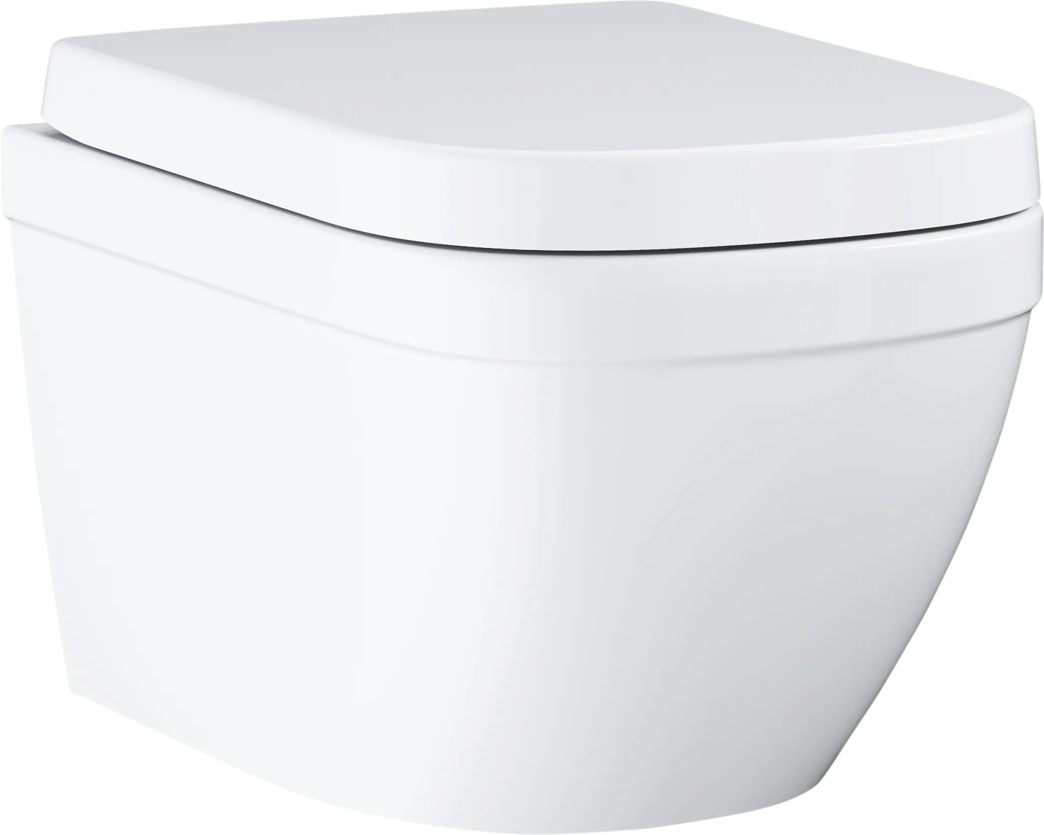 Wand-Tiefspül-WC Euro inkl. WC-Sitz weiß spülrandlos Wand-Tiefspül-WC Euro inkl. WC-Sitz weiß spülrandlos