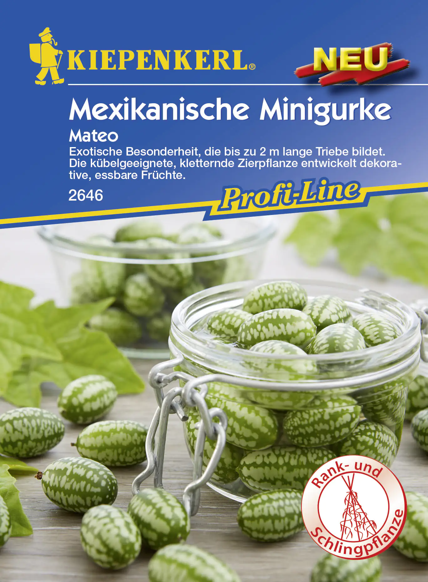 4000159176461 Kiepenkerl Mexikanische Minigurke Mateo ca. 8 Pflanzen