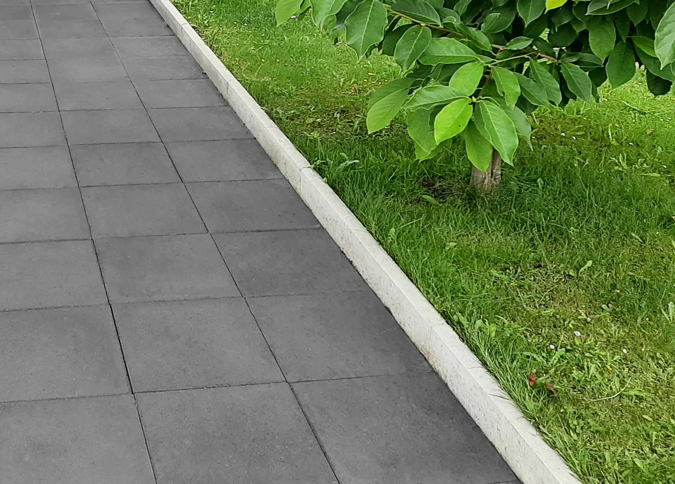 EHL Rasenkantenstein abgerundet 50 x 15 x 5 cm grau EHL Rasenkantenstein abgerundet 50 x 15 x 5 cm grau