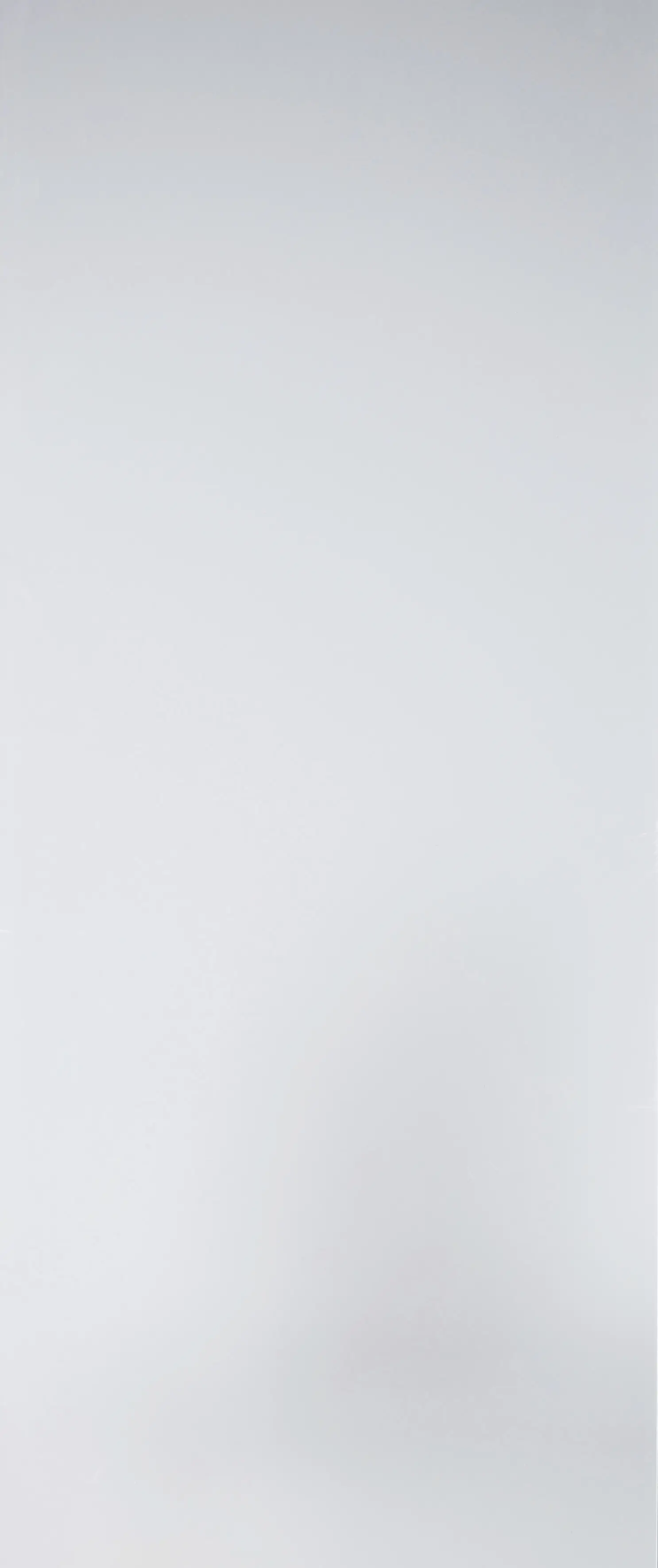 Ambiente Türverglasung Holztür mit Lichtausschnitt Satinato 142 x 53,5 cm klarglas