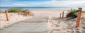 Deco-Glas Bild - Way to Beach 80 x 30 cm