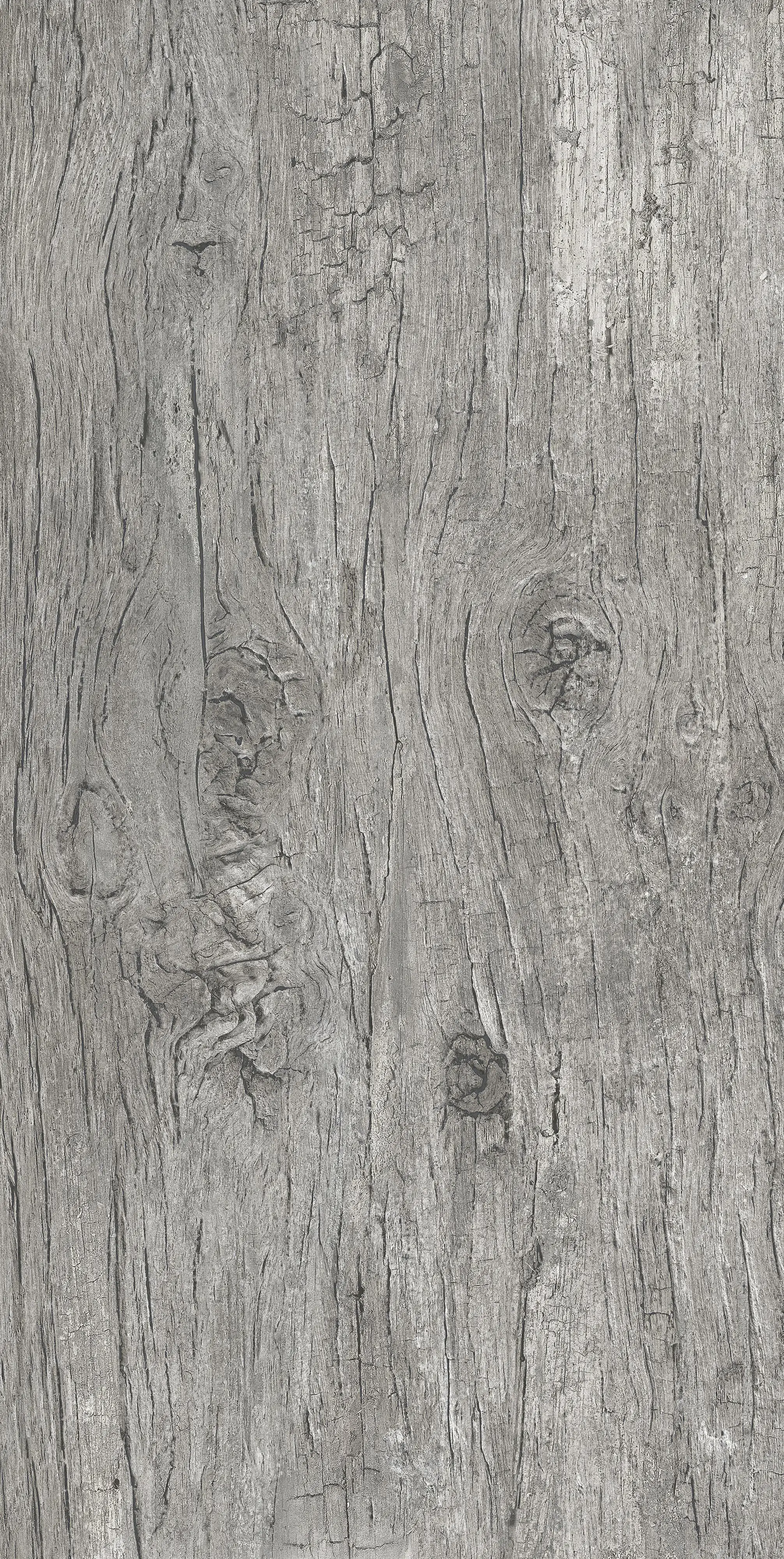 Bodenfliese Feinsteinzeug Radice 31 x 62 cm grigio