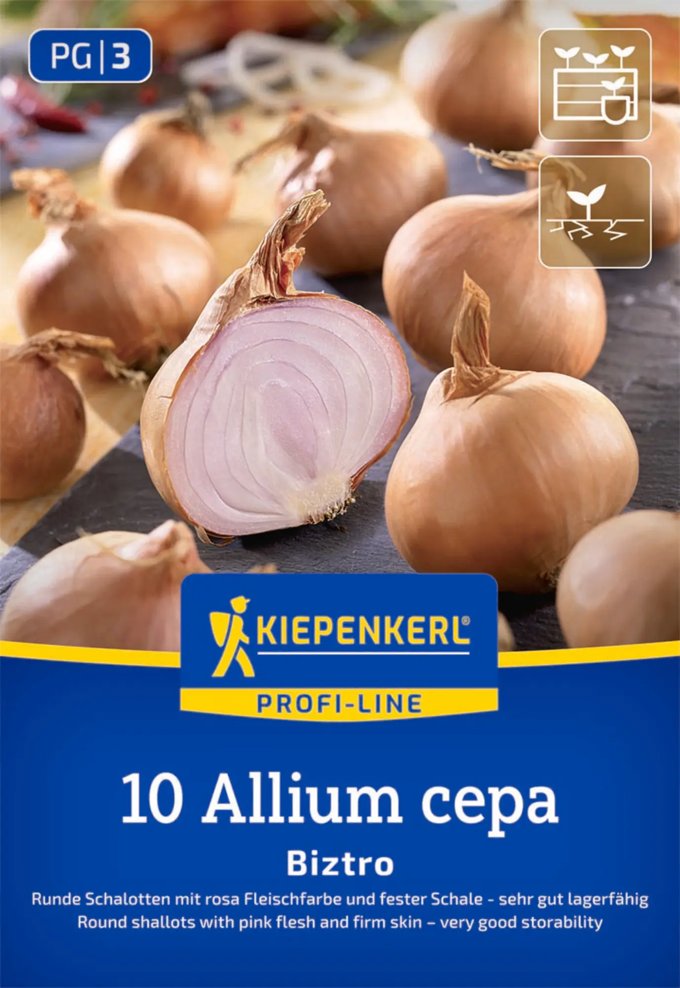Kiepenkerl Steckzwiebel Schalotte Biztro Gr. 7/15, 10 Stück
