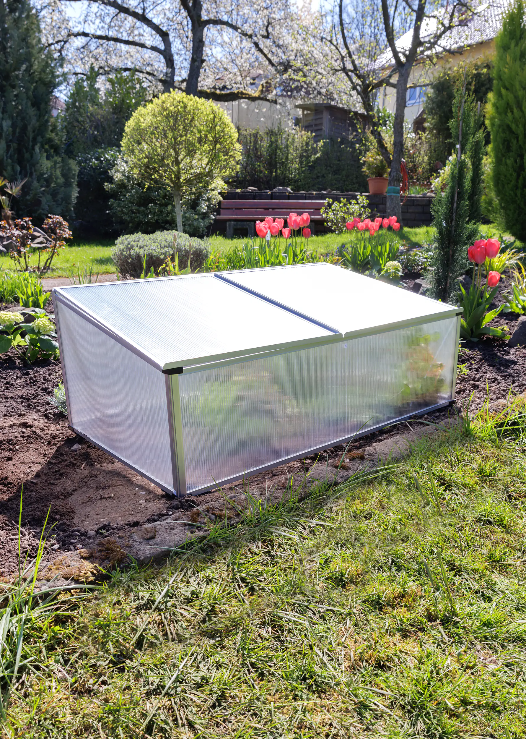 TrendLine Frühbeet Alu 100 x 60 x 30 cm