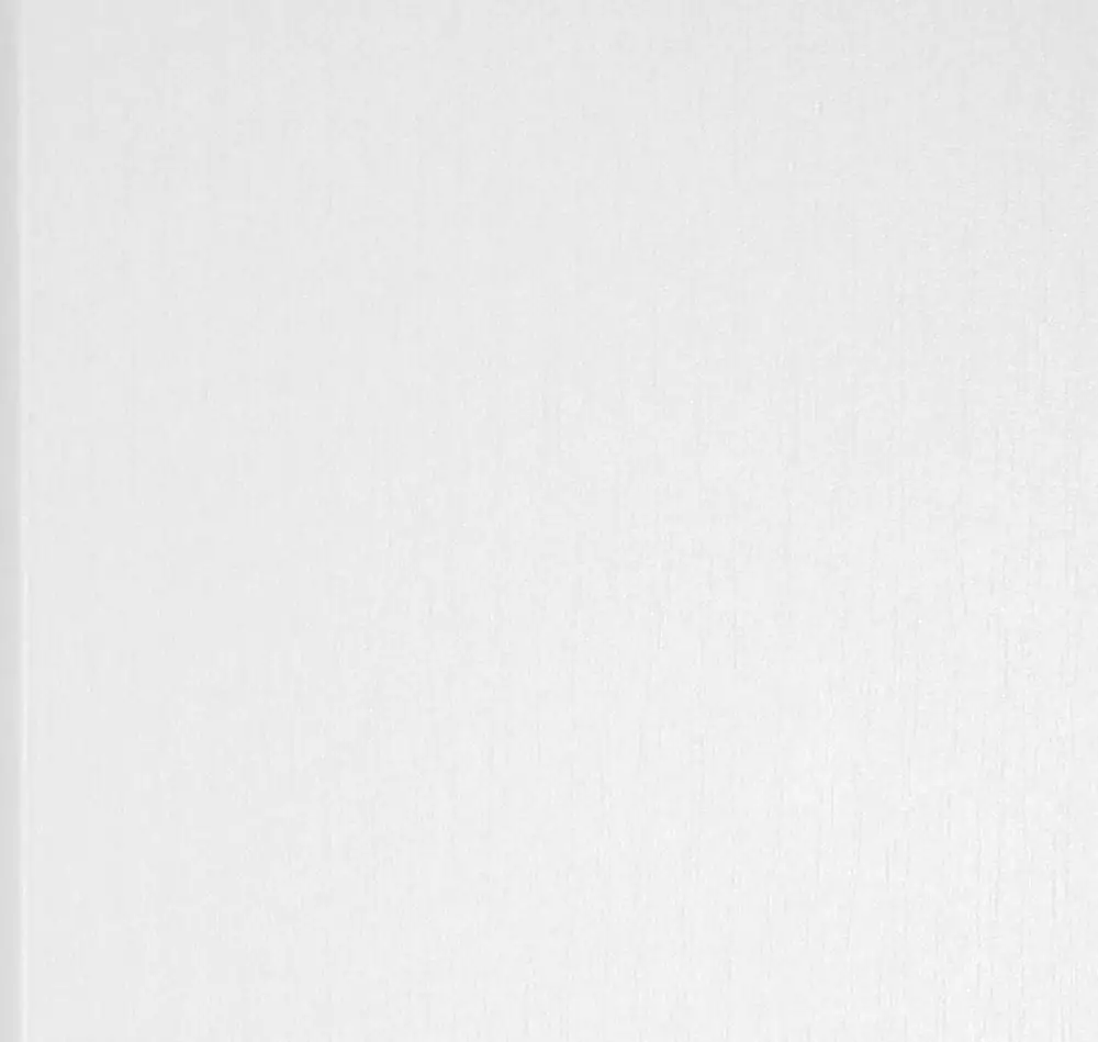 B.S. Bauprogramm Wandverkleidung 260 x 60 cm, 4,5 mm, Eiche Brilliantweiß