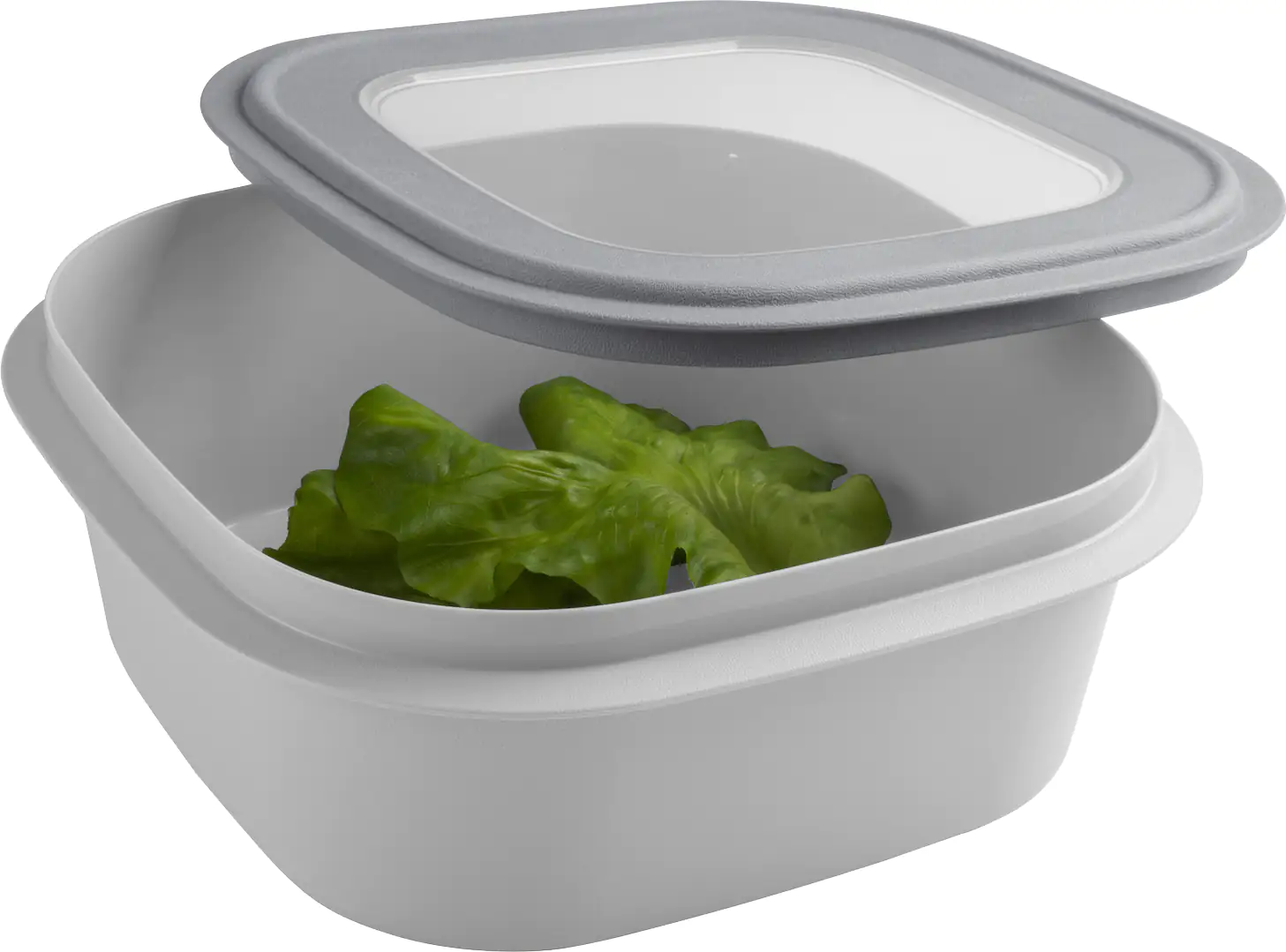 Sunware Frischhaltedose Sigma Home 2,8 L grau