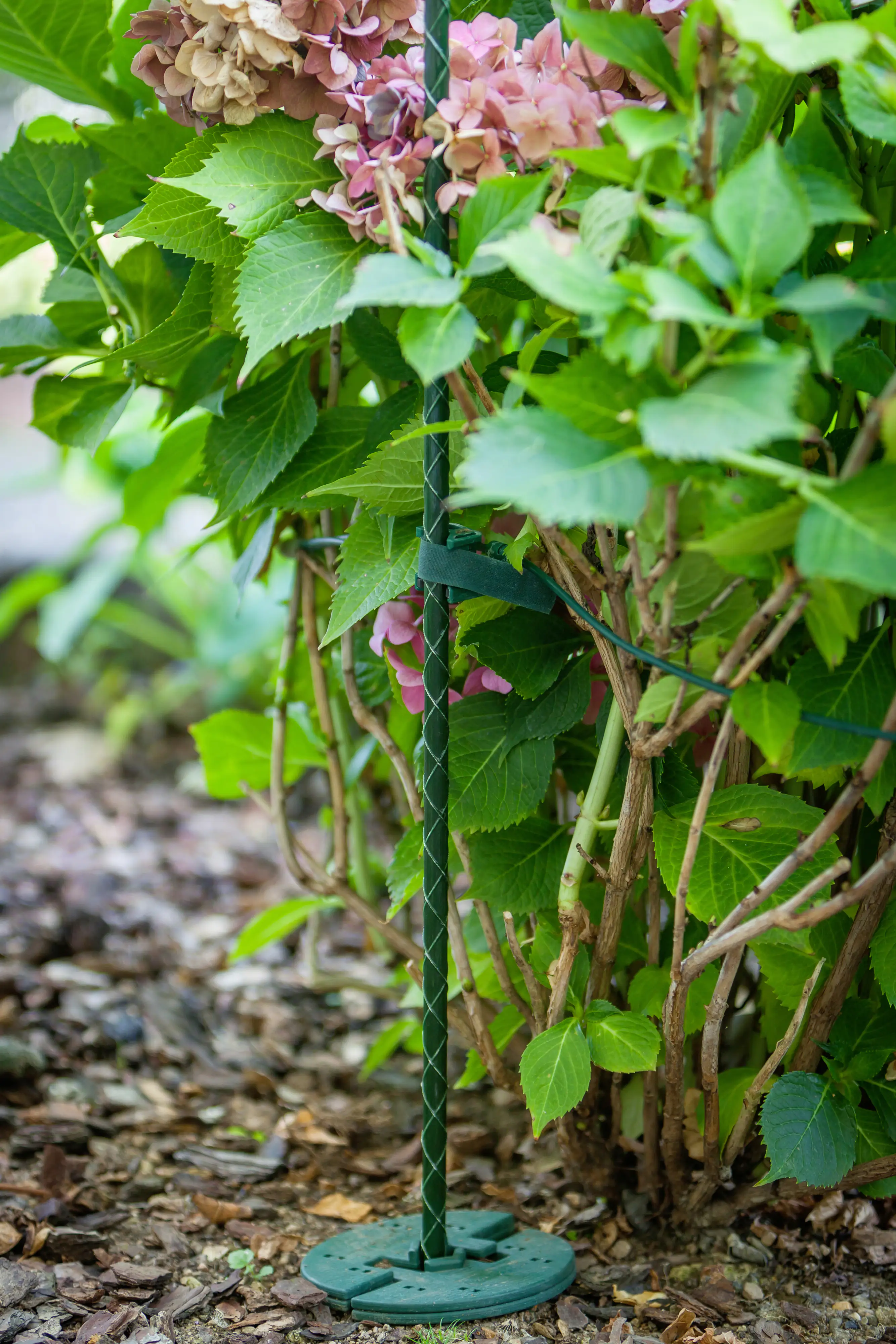 Pflanzstab 150cm Ø 12 mm