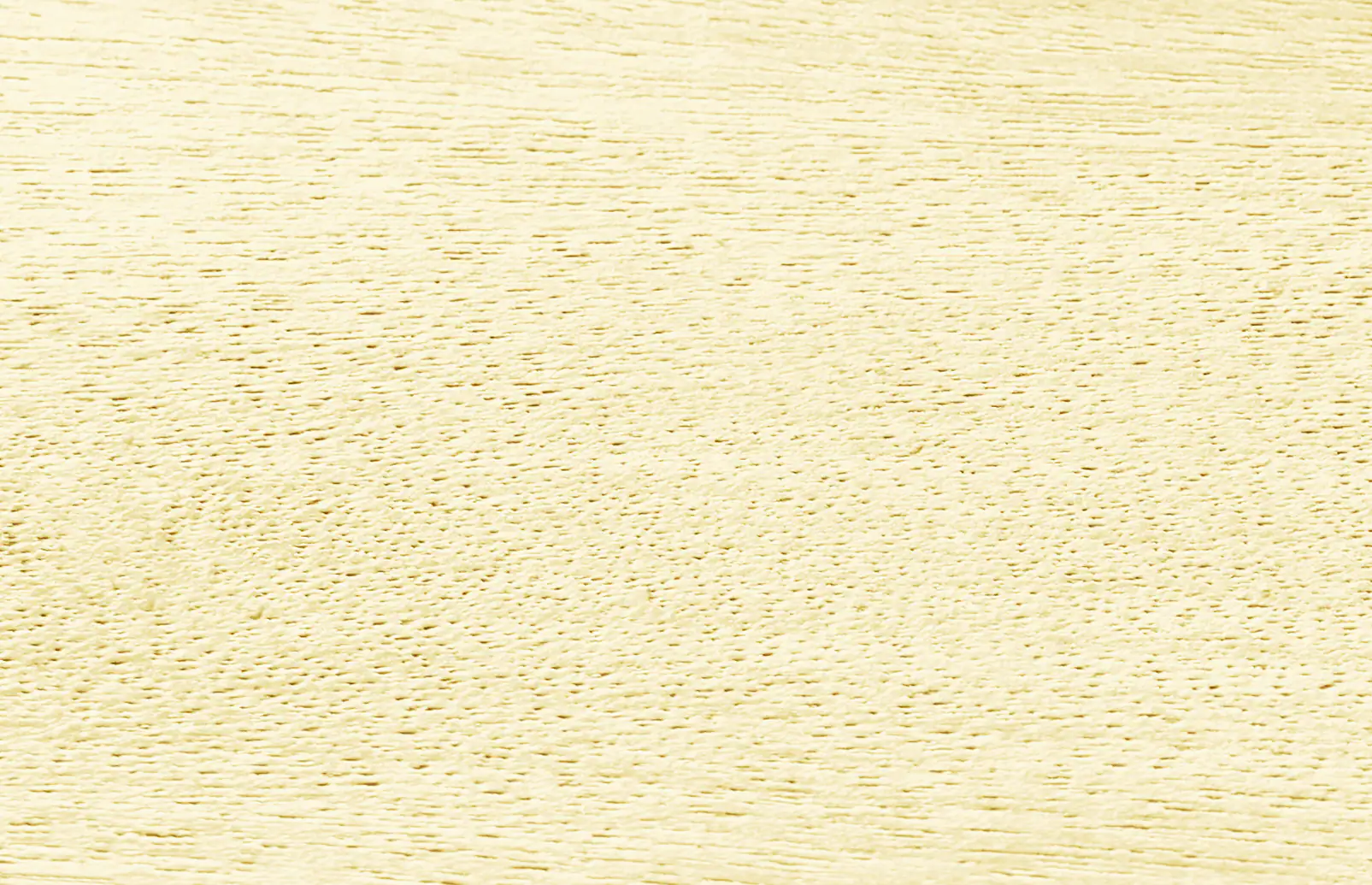 Alpina Terrassenreiniger 1 L farblos