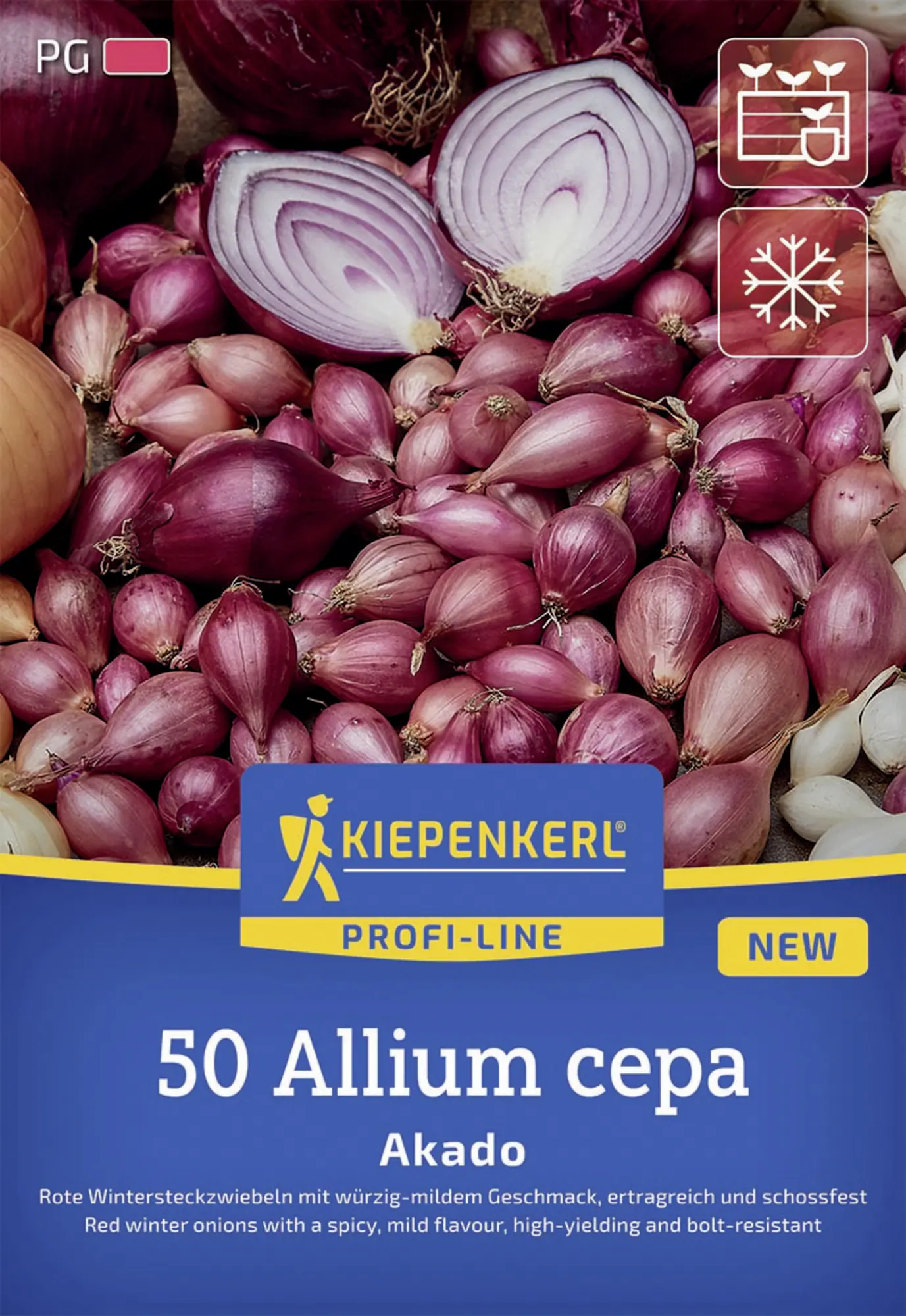 Kiepenkerl Pflanzgut Rote Wintersteckzwiebel Akado 50 Stück