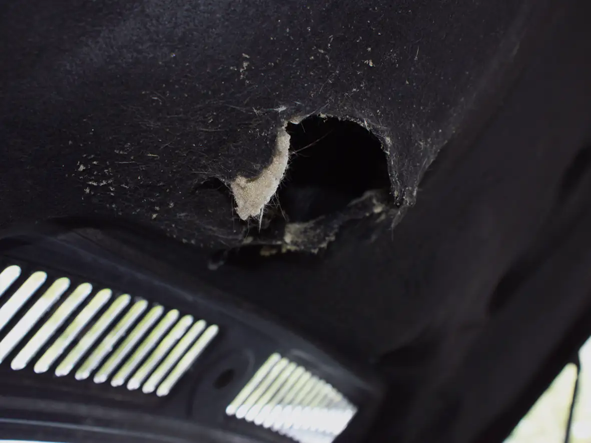 LAS Marderabwehrspray 300 ml