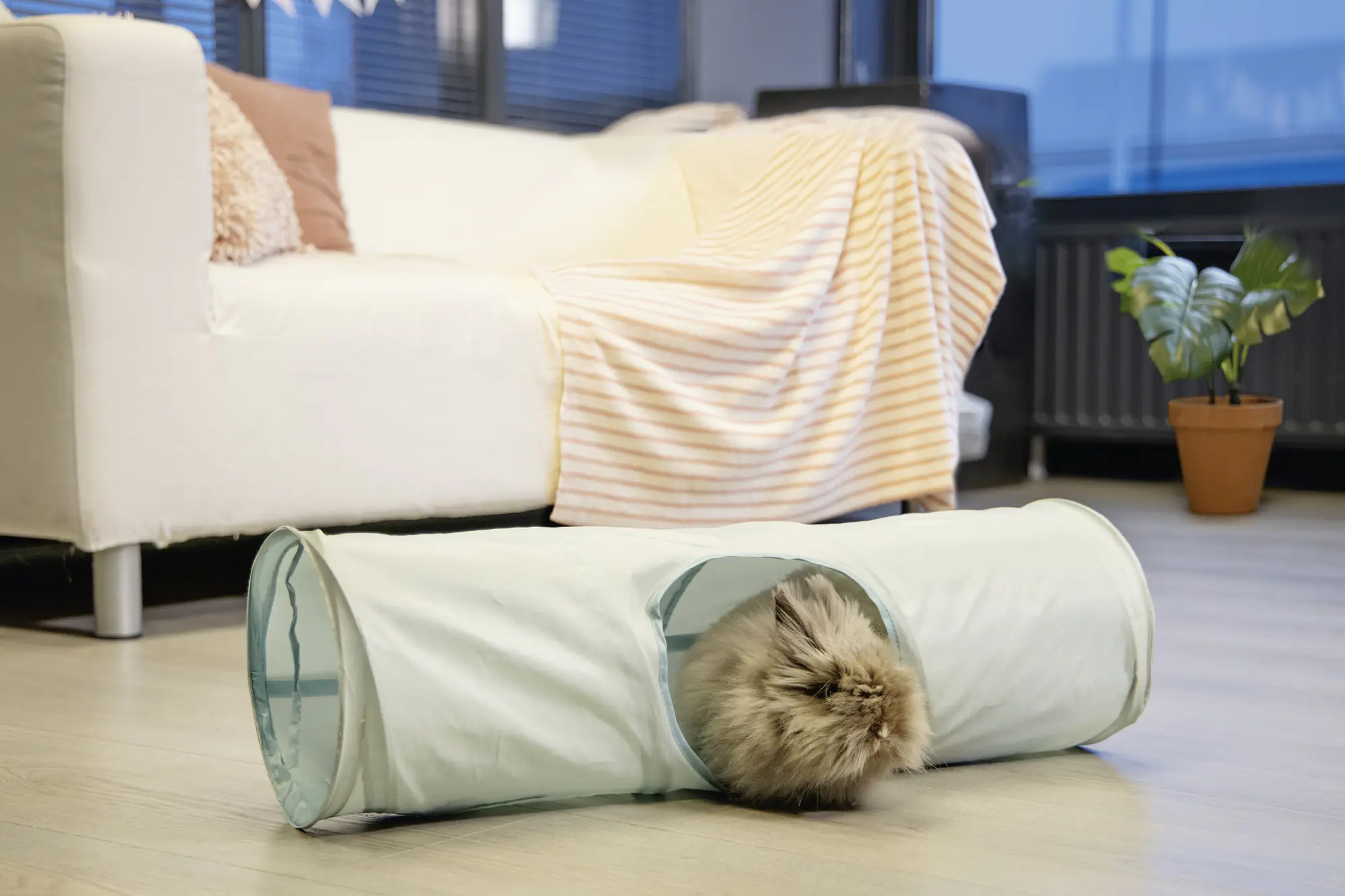 Beeztees Nagerspielzeug Tunnel Ravena 70 cm