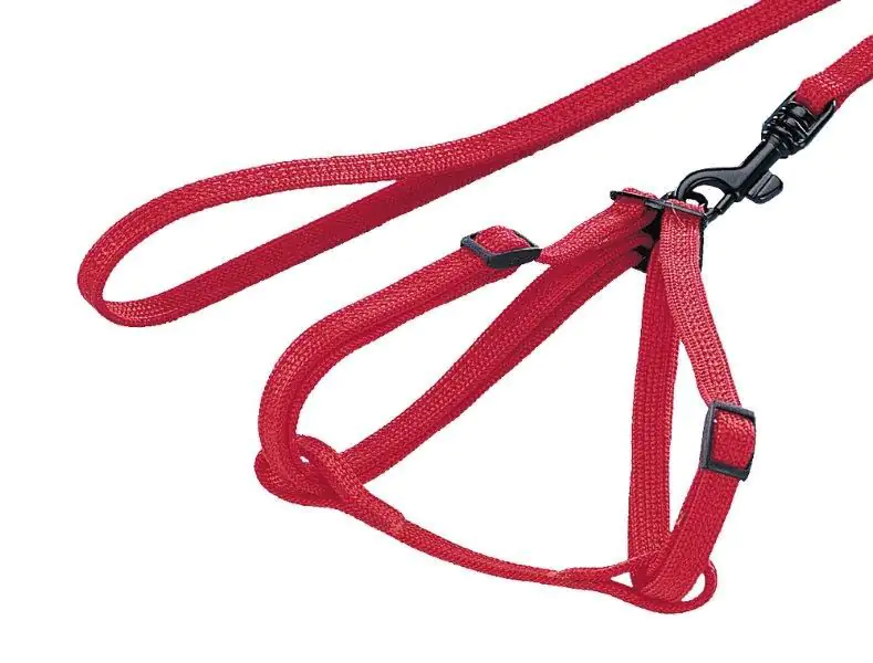 Nobby Garnitur Nylon Kaninchen
