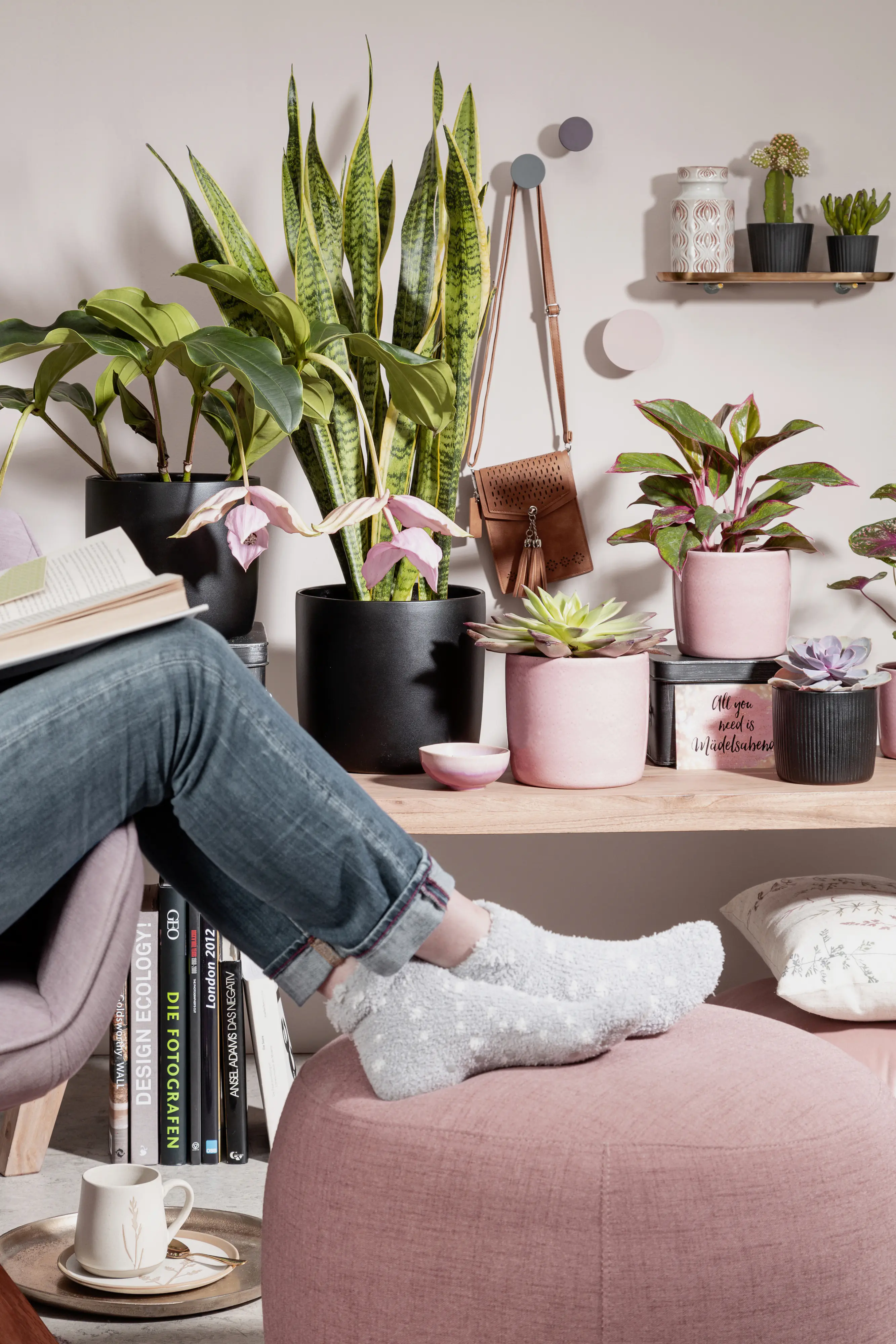 Scheurich Übertopf Solid Ø 17,6 x 16 cm rosea