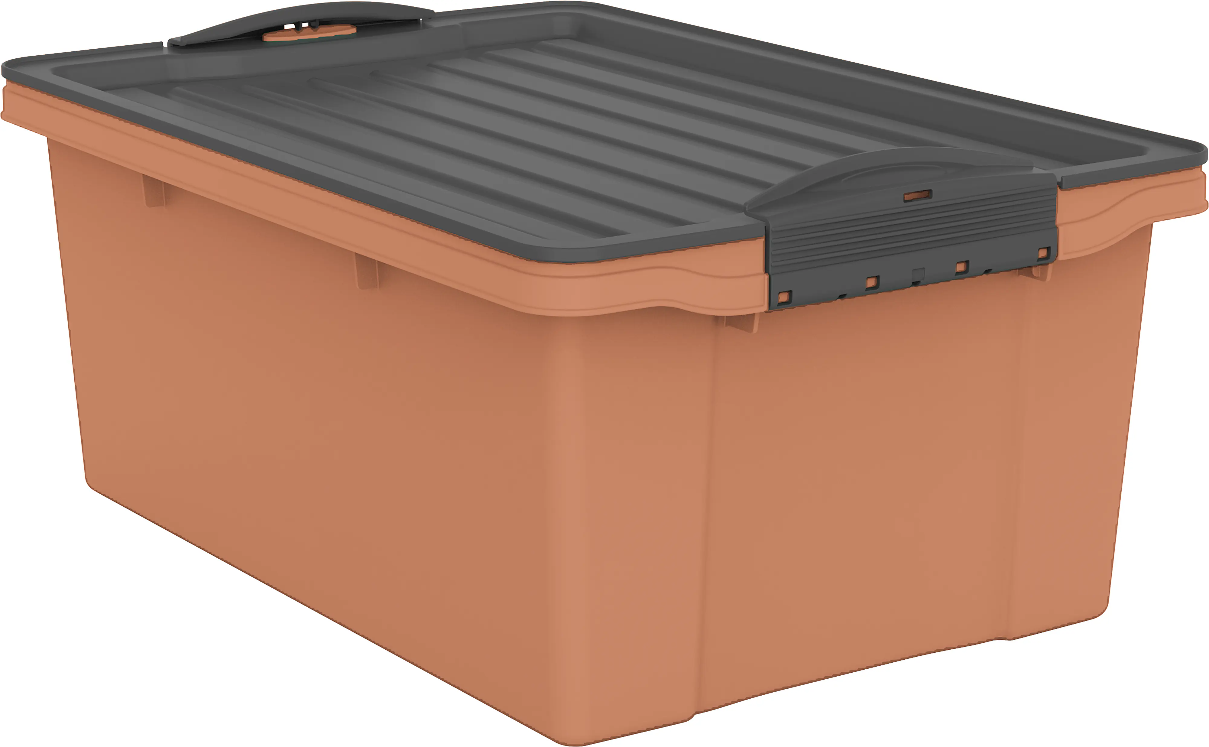 Rotho Aufbewahrungsbox Compact mit Deckel 39,5 x 27,5 cm 13 L clay koralle