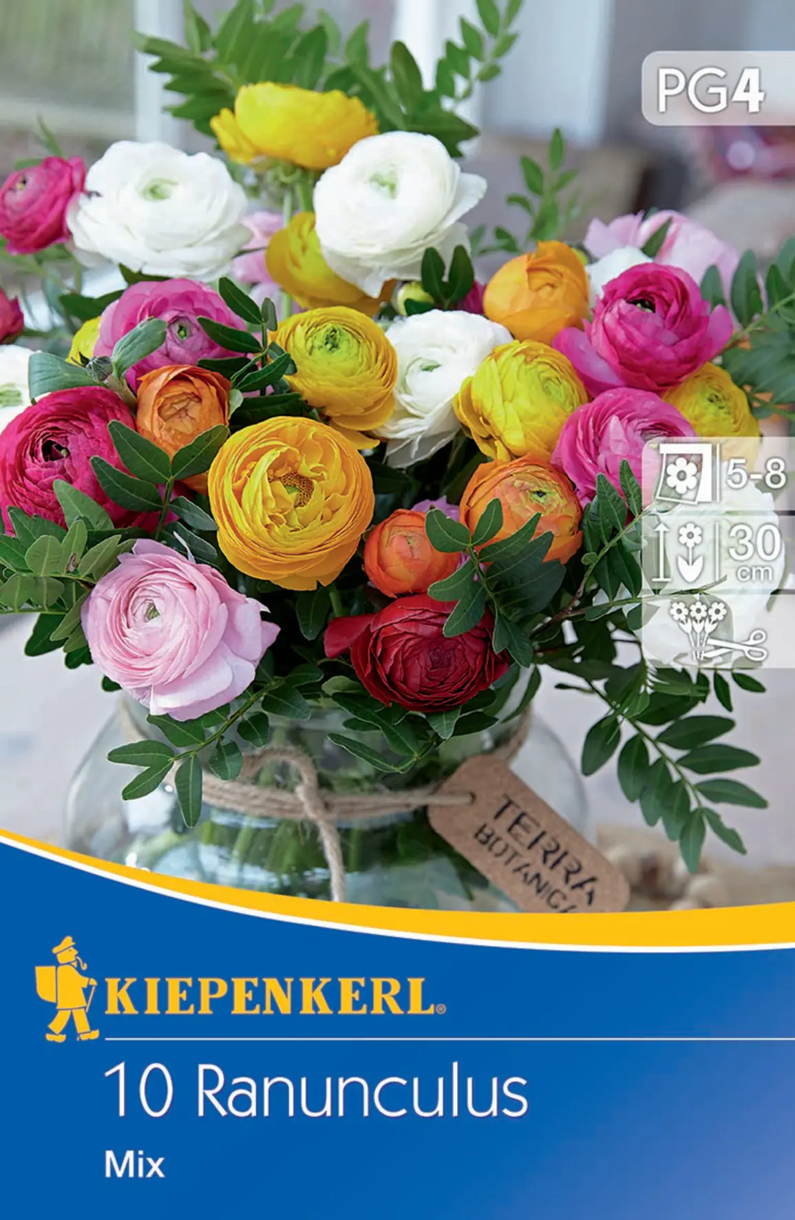 Kiepenkerl Ranunkelmischung Kiepenkerl Ranunkelmischung