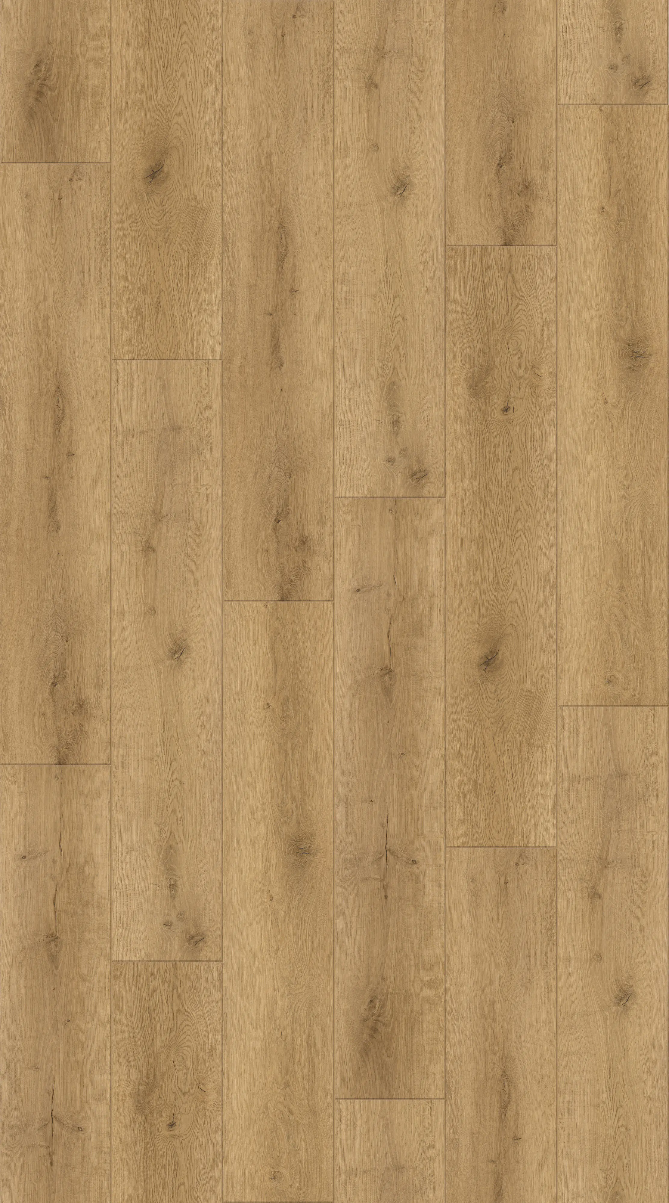 Decoflooring Vinylboden mit Trittschalldämmung Eiche Nova Infinity