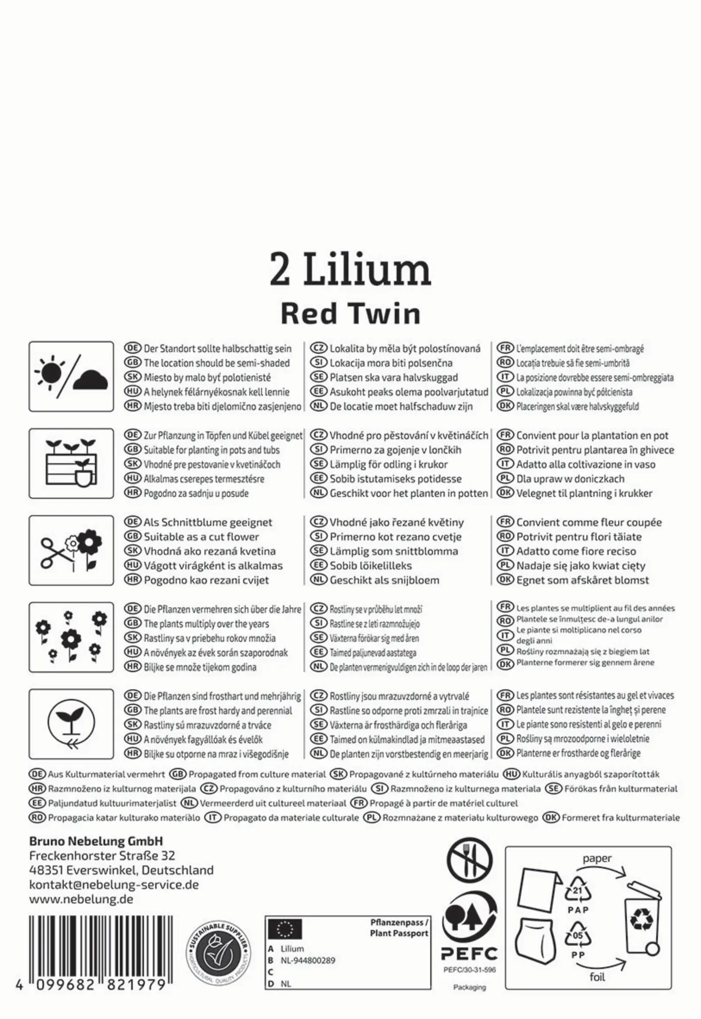 Kiepenkerl Frühjahrsblumenzwiebel Asiatische Lilie Red Twin 2 Stück