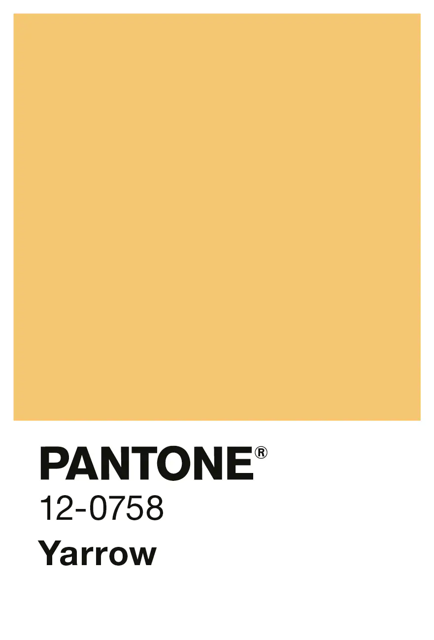 Alpina Wandfarbe Pantone matt yarrow 2,5 L